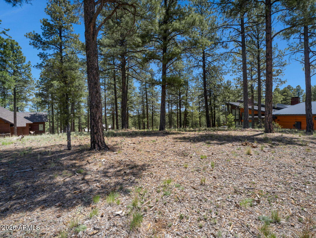 Pine Canyon - Land