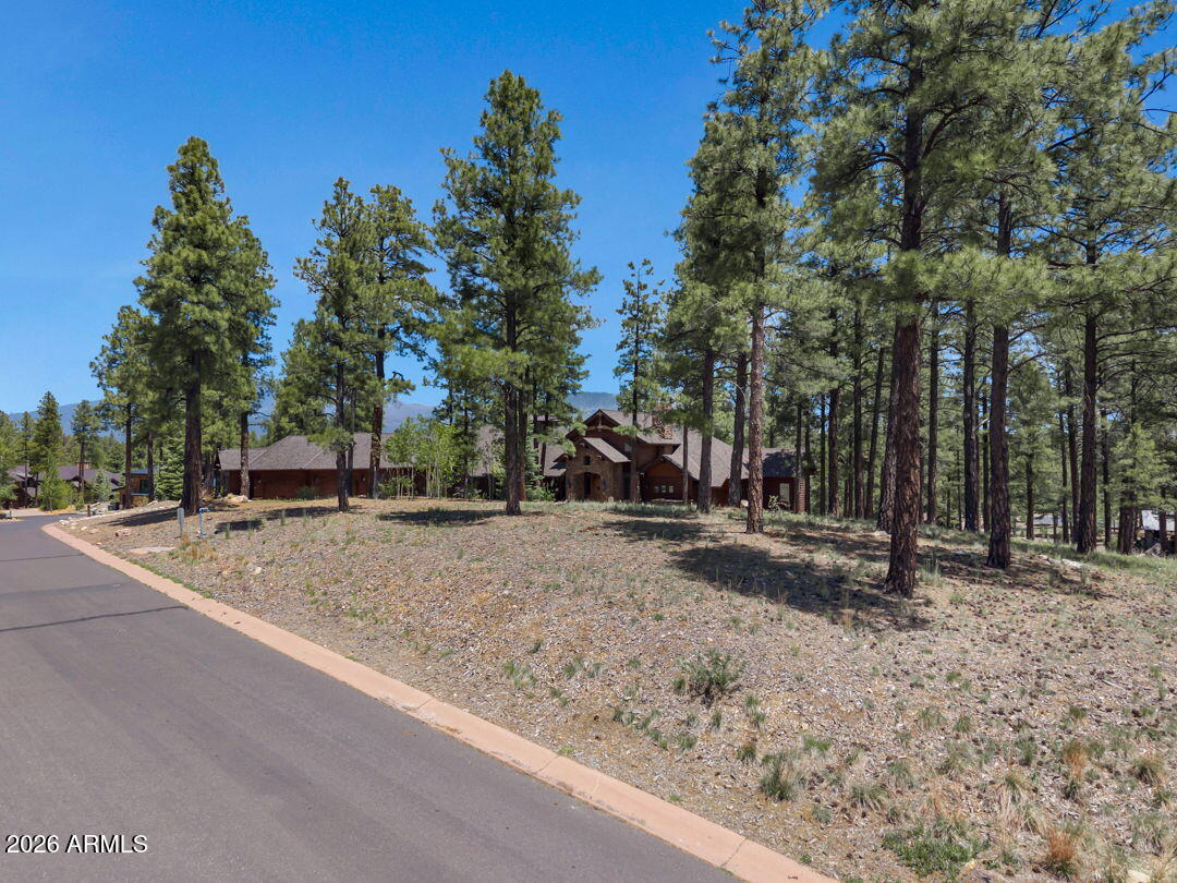 Pine Canyon - Land
