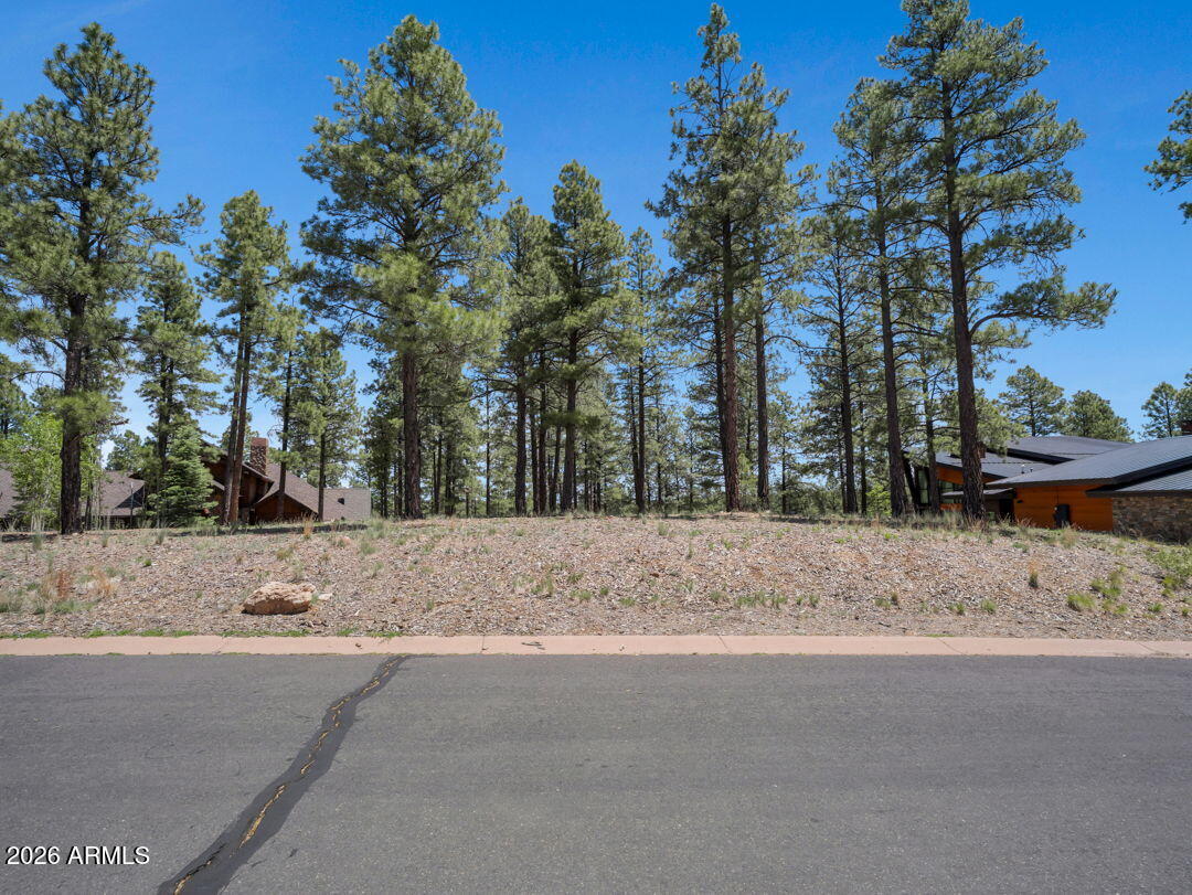 Pine Canyon - Land