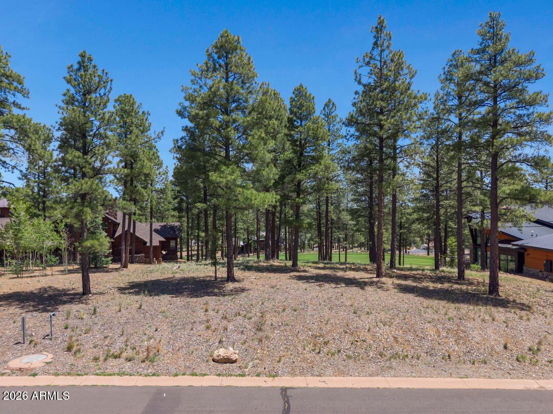 Pine Canyon - Land