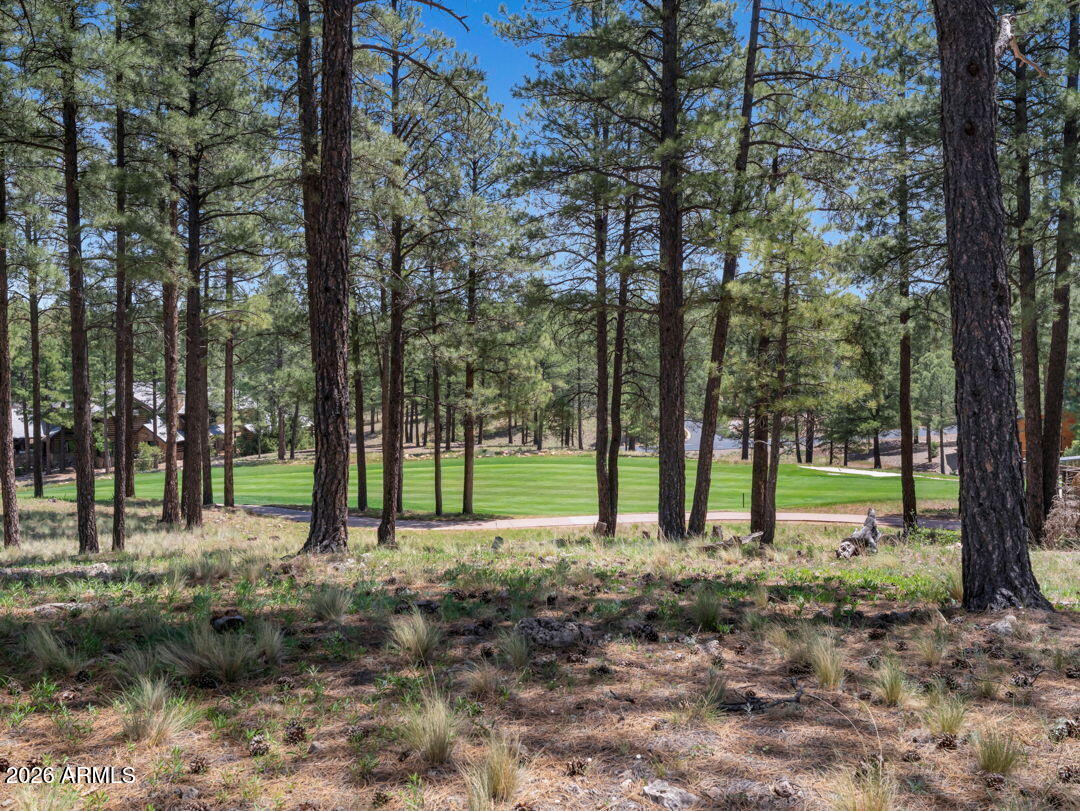 Pine Canyon - Land