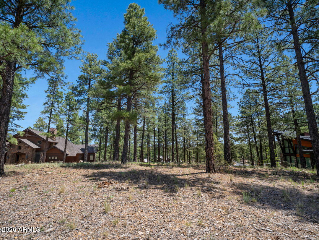 Pine Canyon - Land
