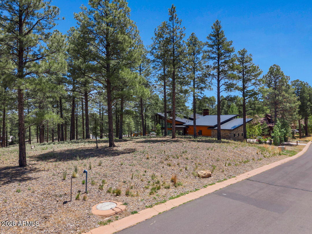 Pine Canyon - Land