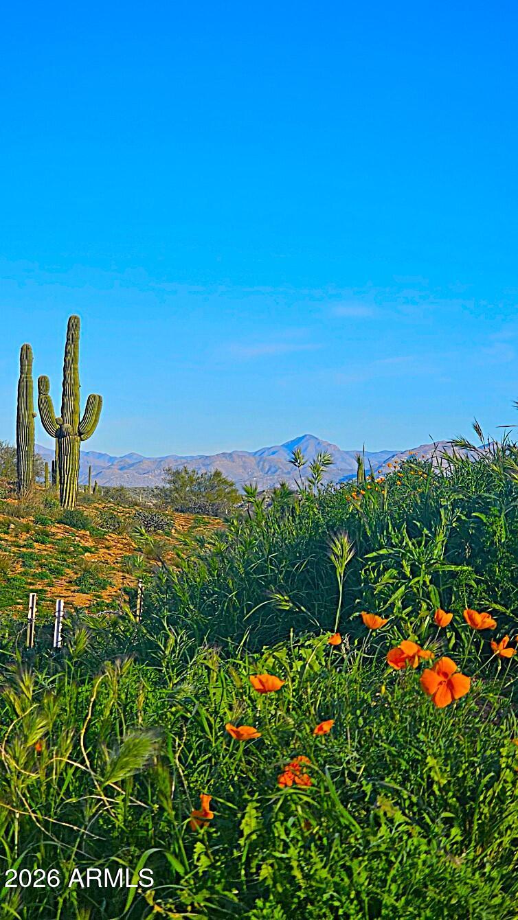 Rio Verde Foothills - Land