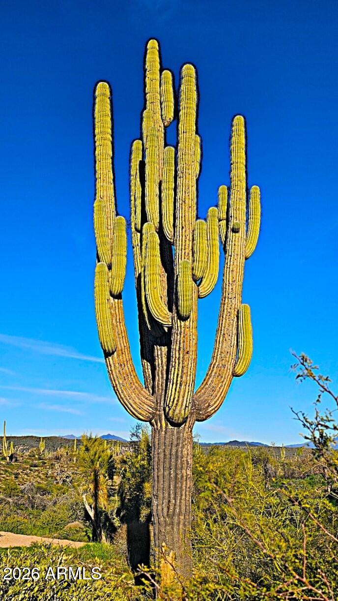 Rio Verde Foothills - Land