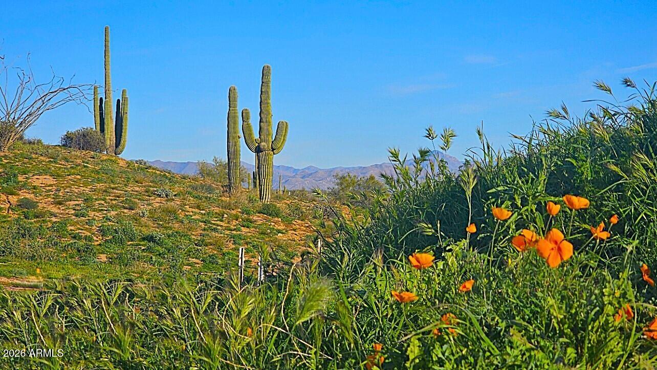 Rio Verde Foothills - Land