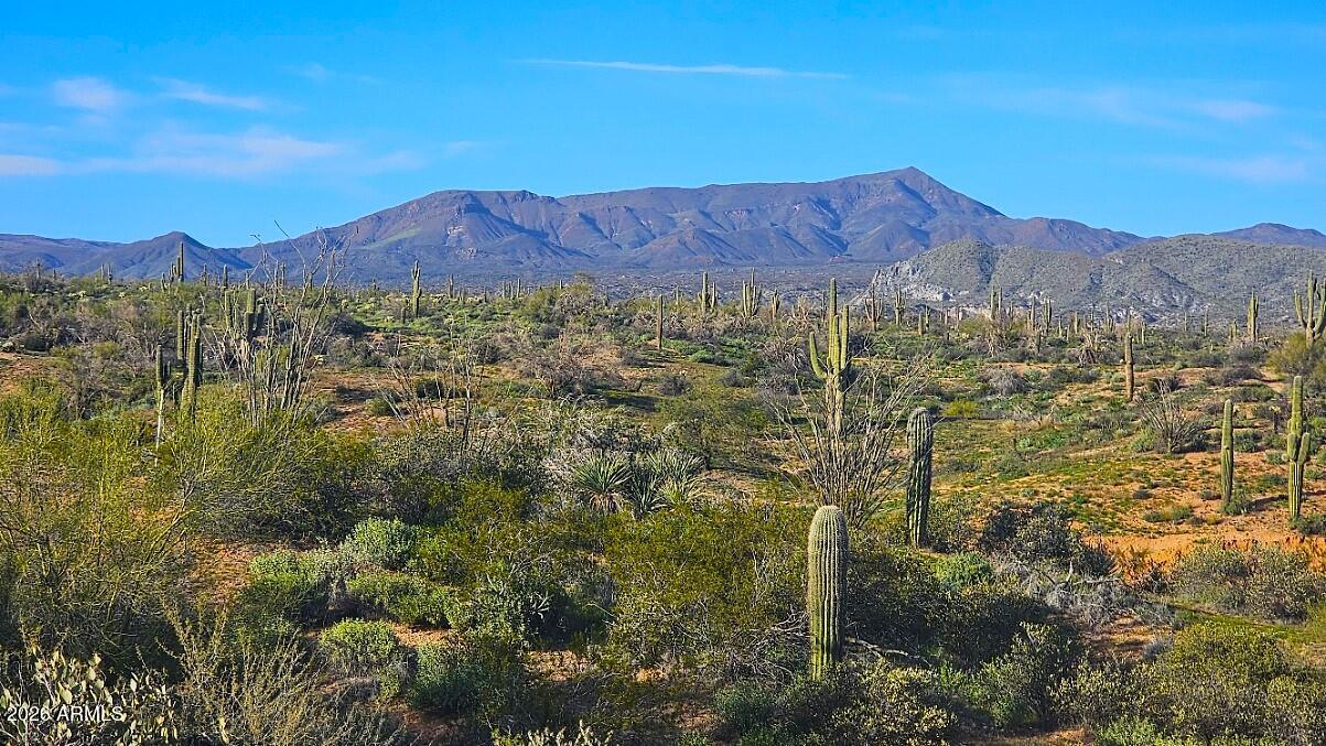 Rio Verde Foothills - Land