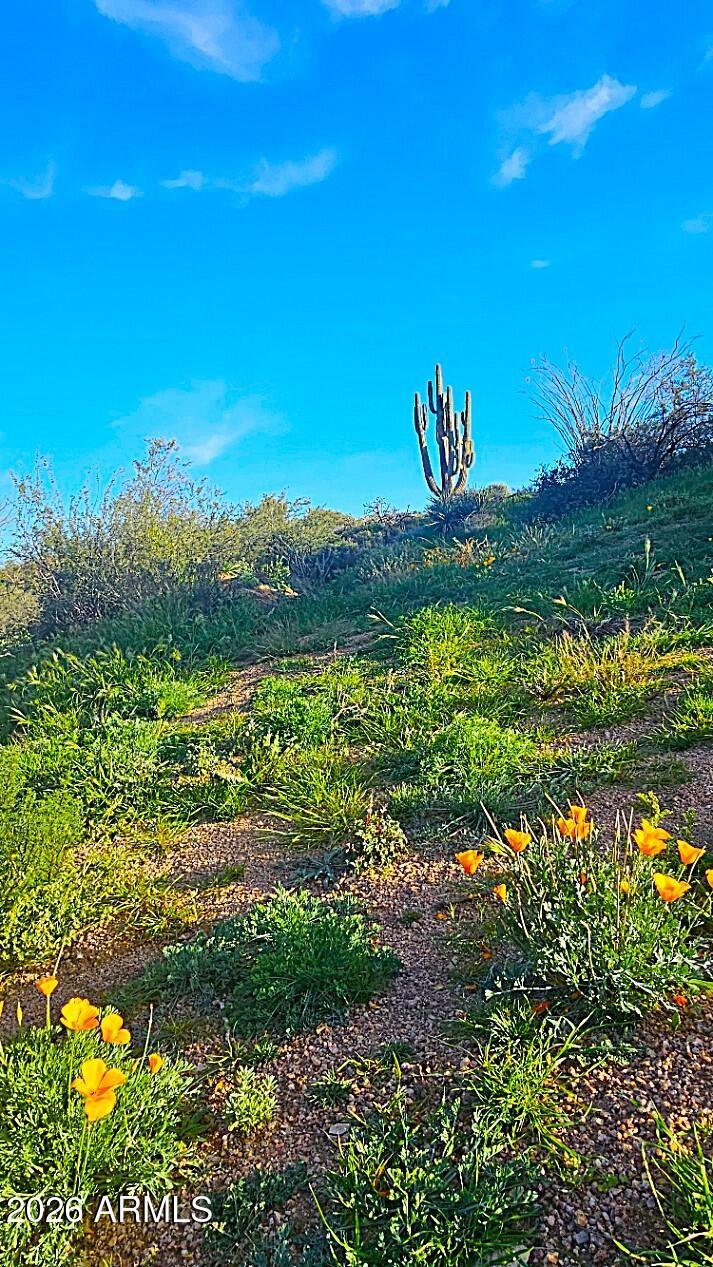 Rio Verde Foothills - Land