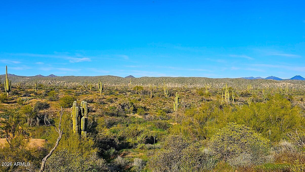 Rio Verde Foothills - Land