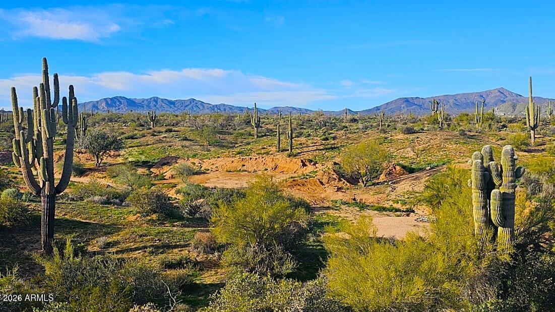 Rio Verde Foothills - Land