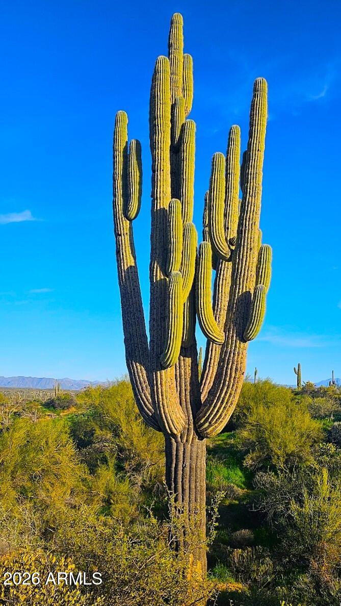 Rio Verde Foothills - Land
