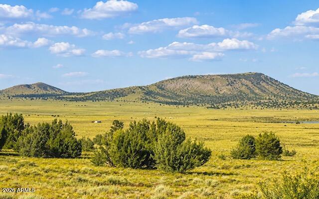 Discover the beauty of Arizona's White Mountains with this level, ready-to-build .5 acre parcel. Clearly marked corners and maintained road access make it easy to start planning your dream home, cabin, or getaway. Enjoy expansive southern views, abundant nearby State and BLM land for outdoor recreation. A fantastic opportunity to own land in one of Northern Arizona's most scenic areas.