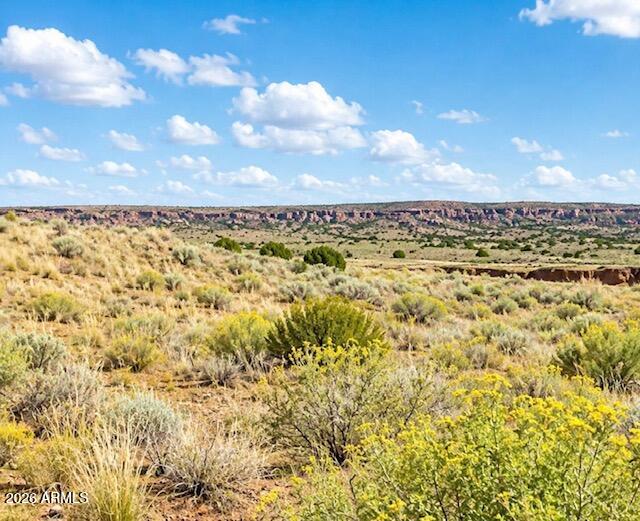 CONCHO LAKELAND UNIT 6 - Land