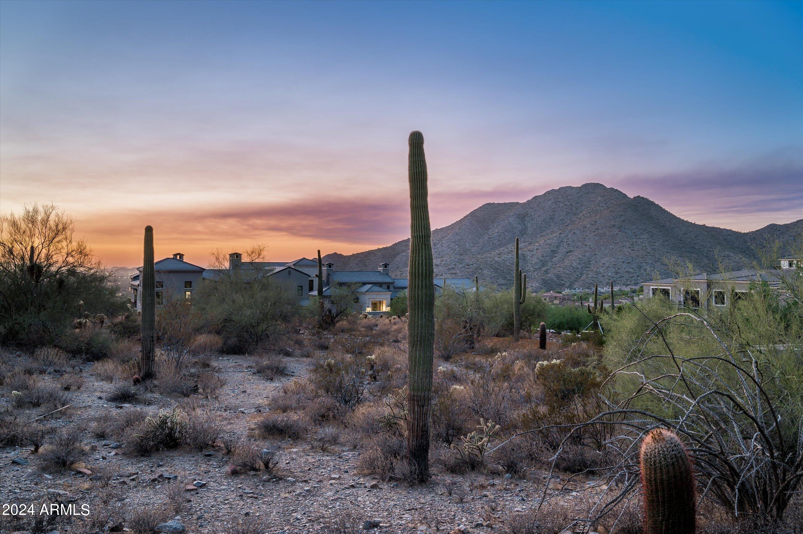 Silverleaf - Land