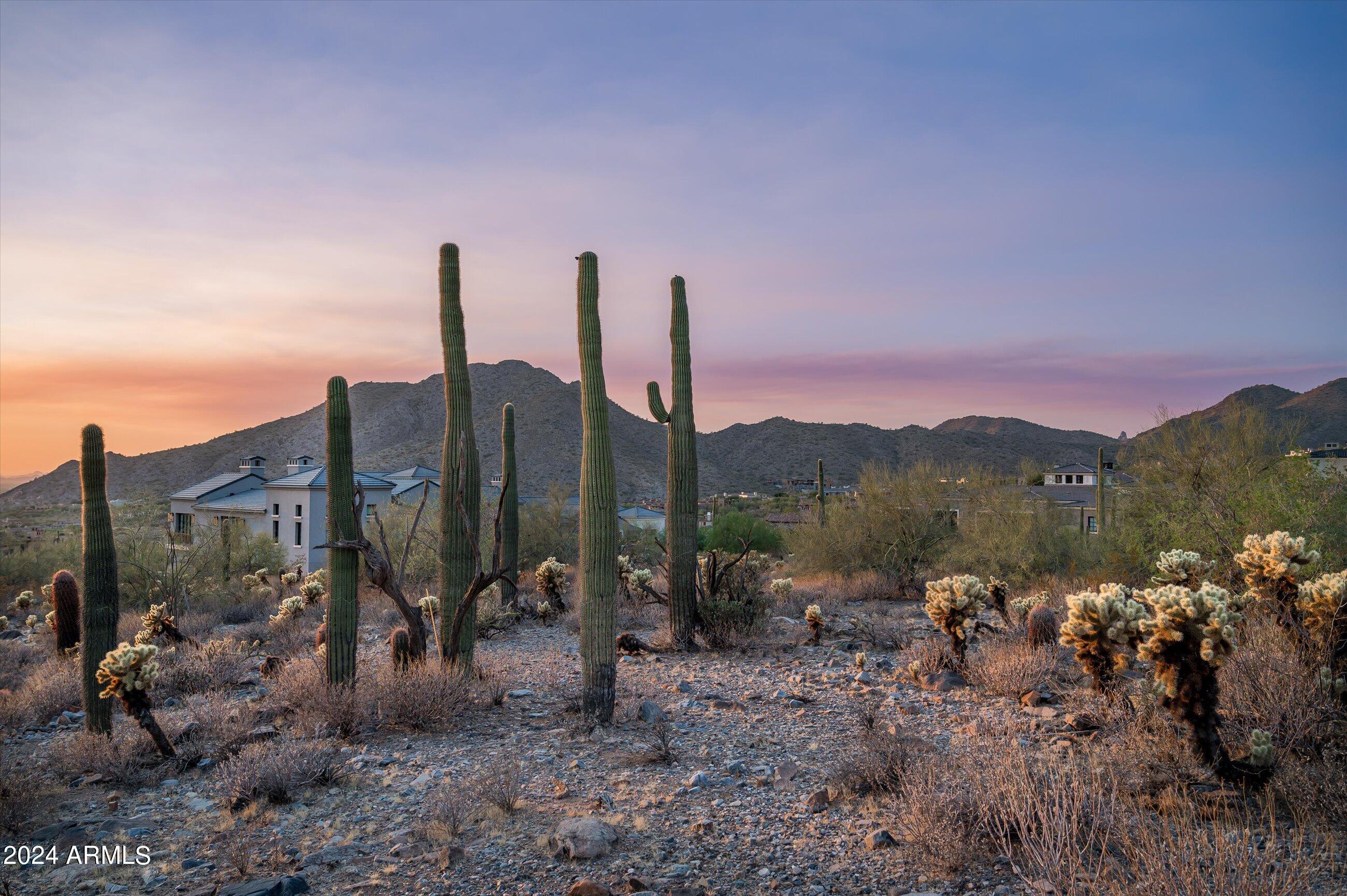 Silverleaf - Land