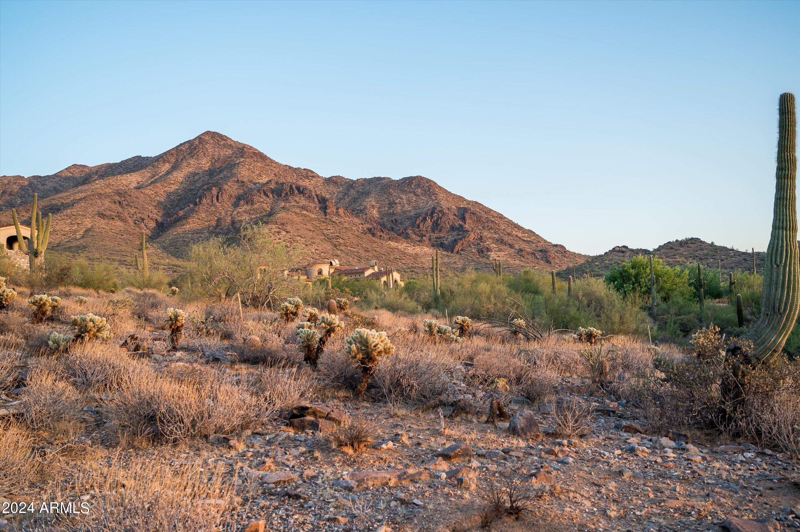 Silverleaf - Land