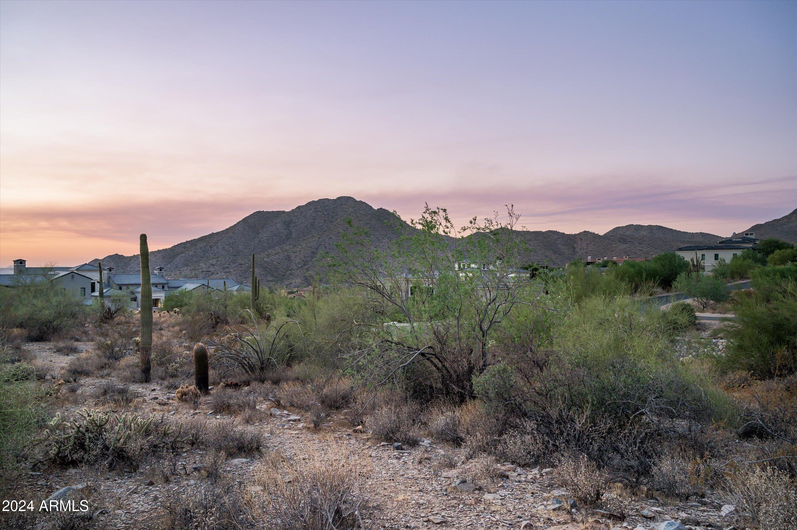 Silverleaf - Land