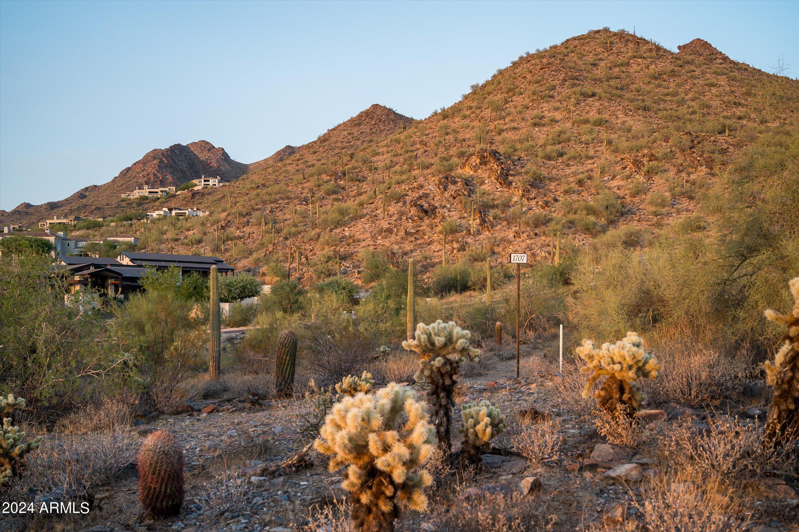 Silverleaf - Land