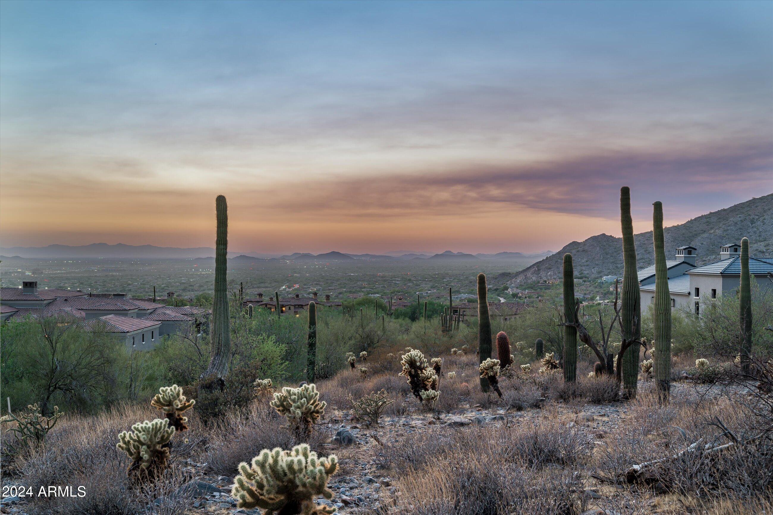 Silverleaf - Land