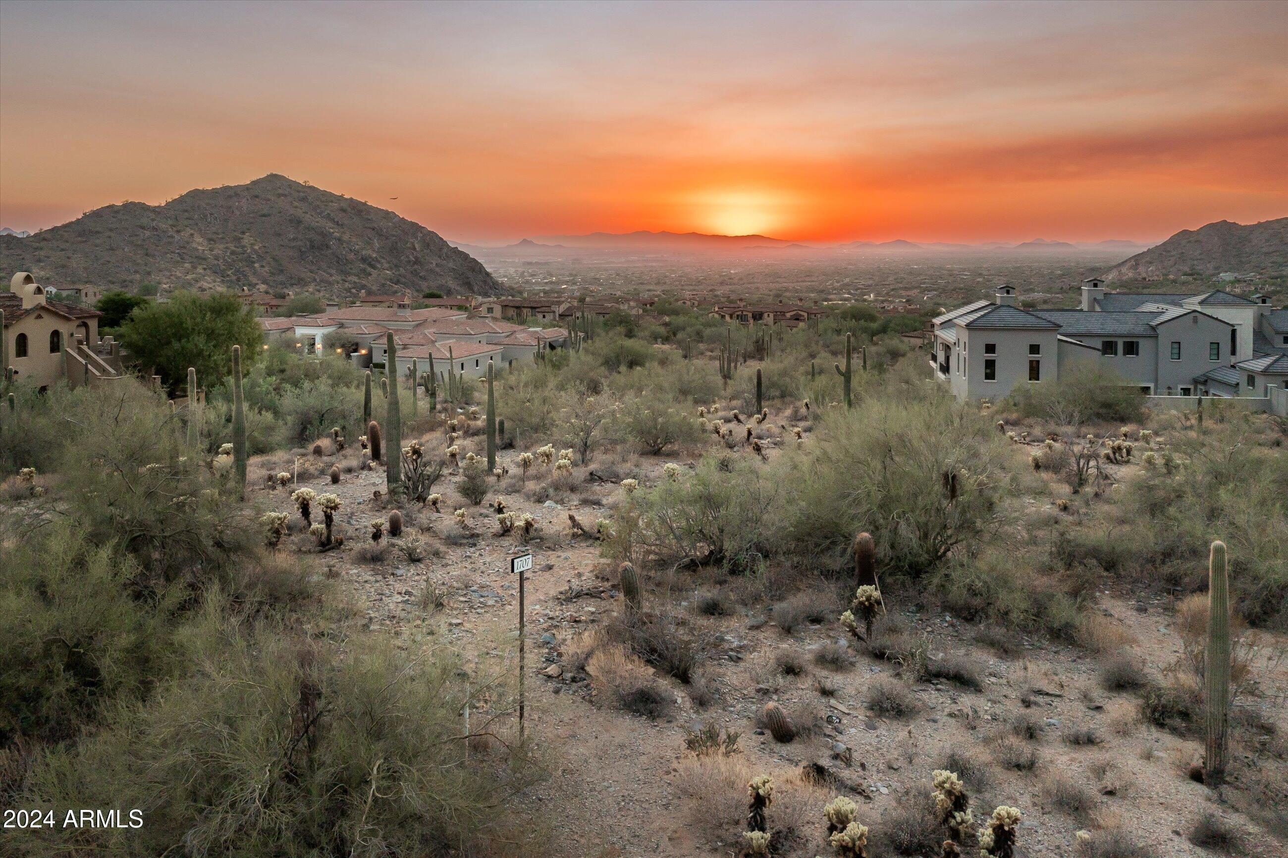 Silverleaf - Land