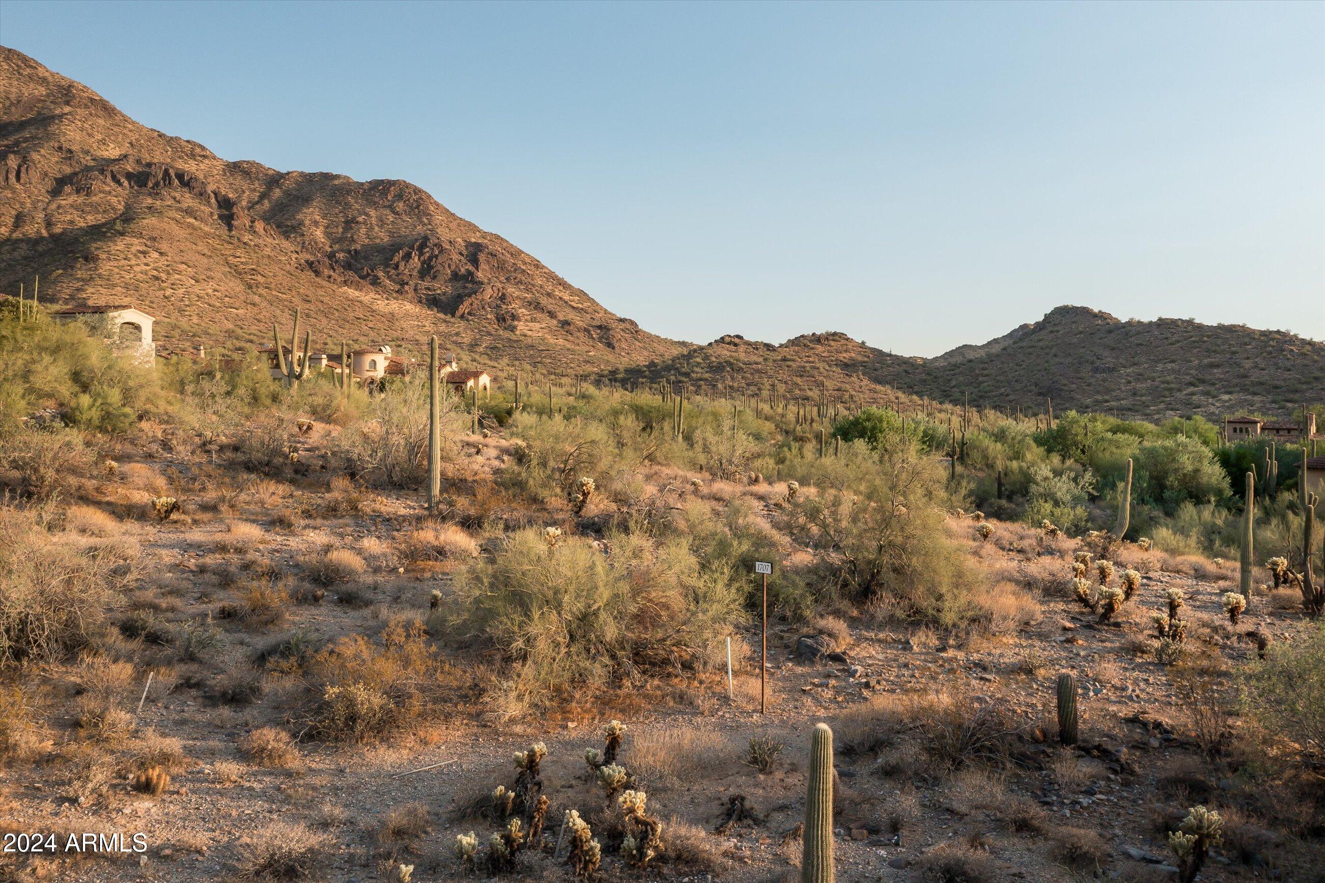 Silverleaf - Land