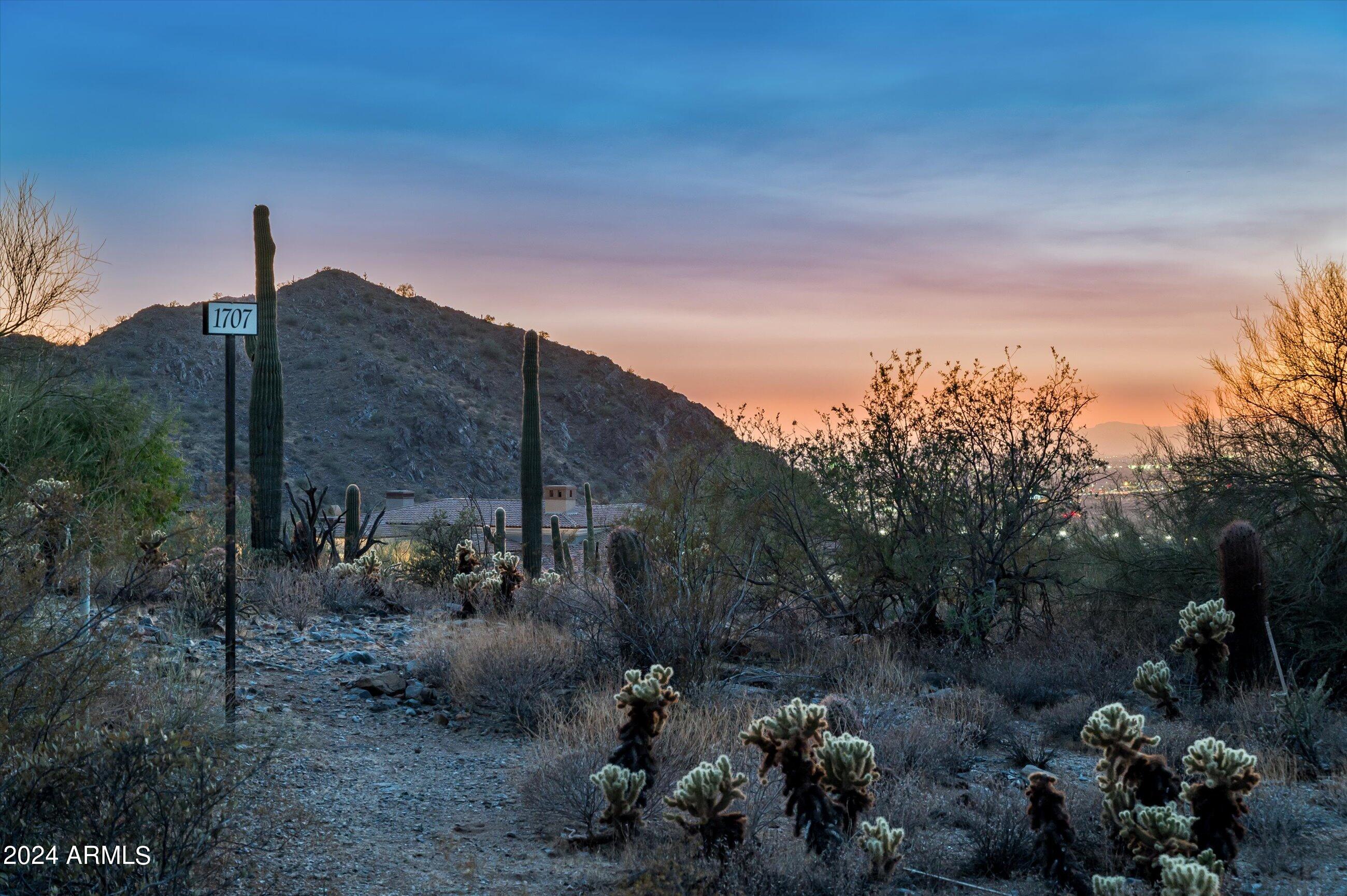 Silverleaf - Land