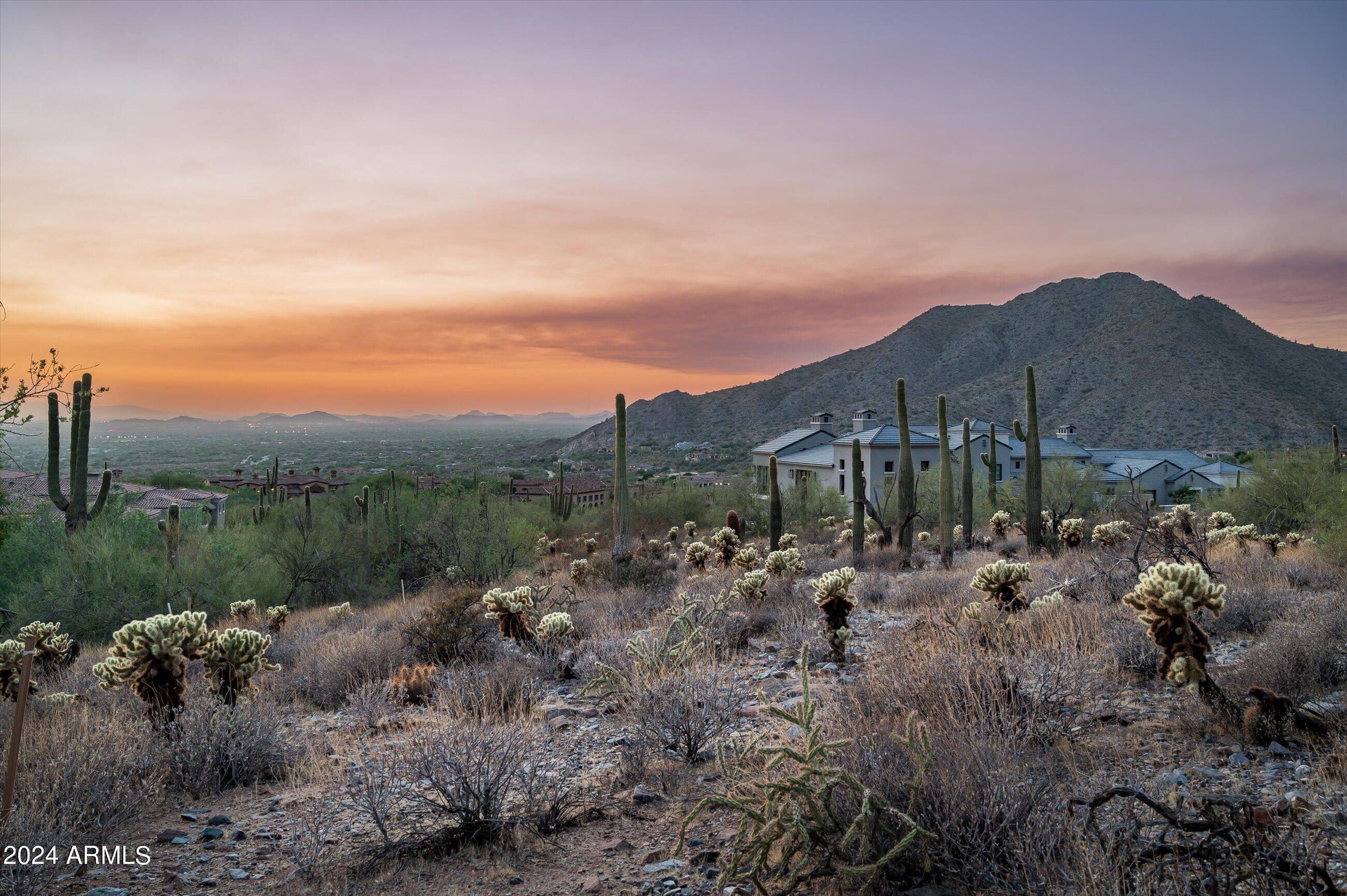 Silverleaf - Land