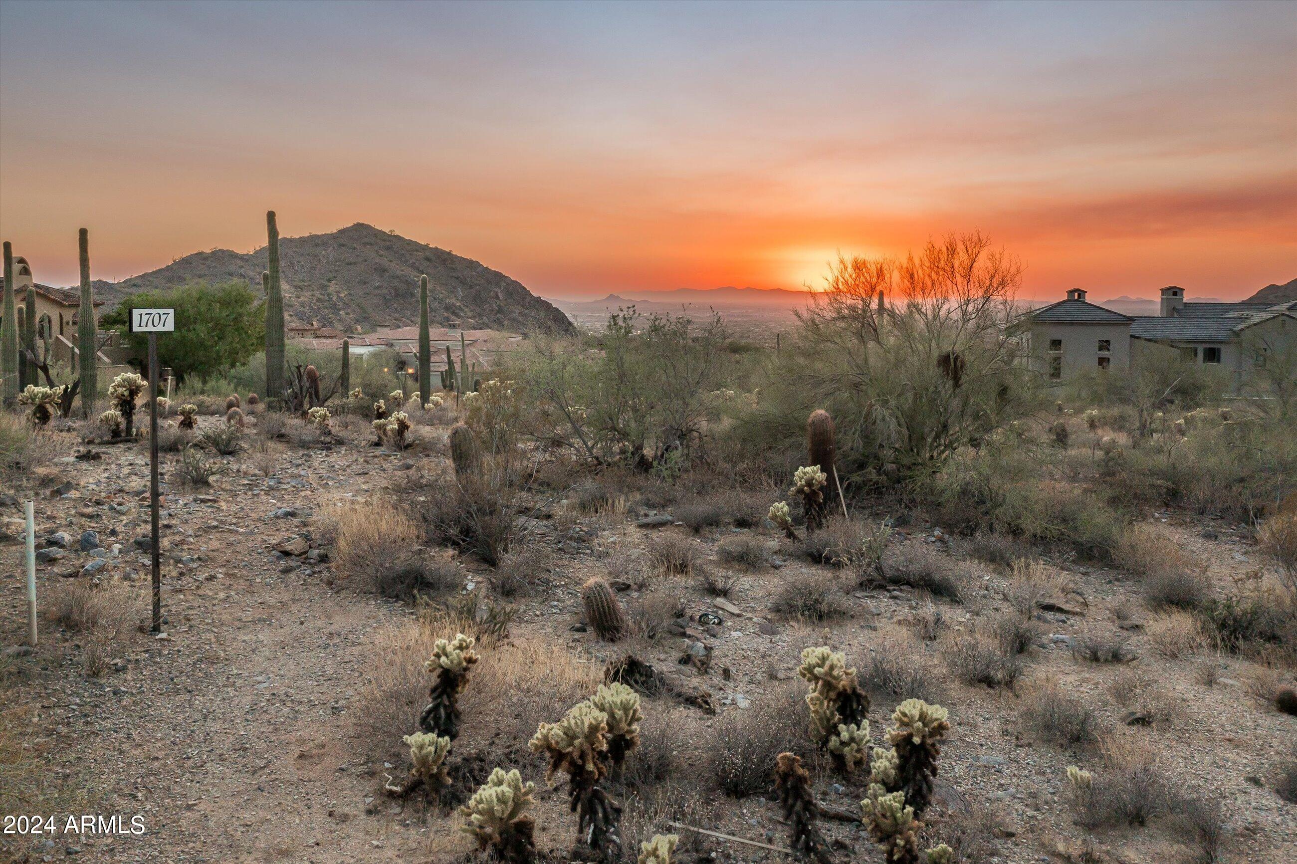 Silverleaf - Land