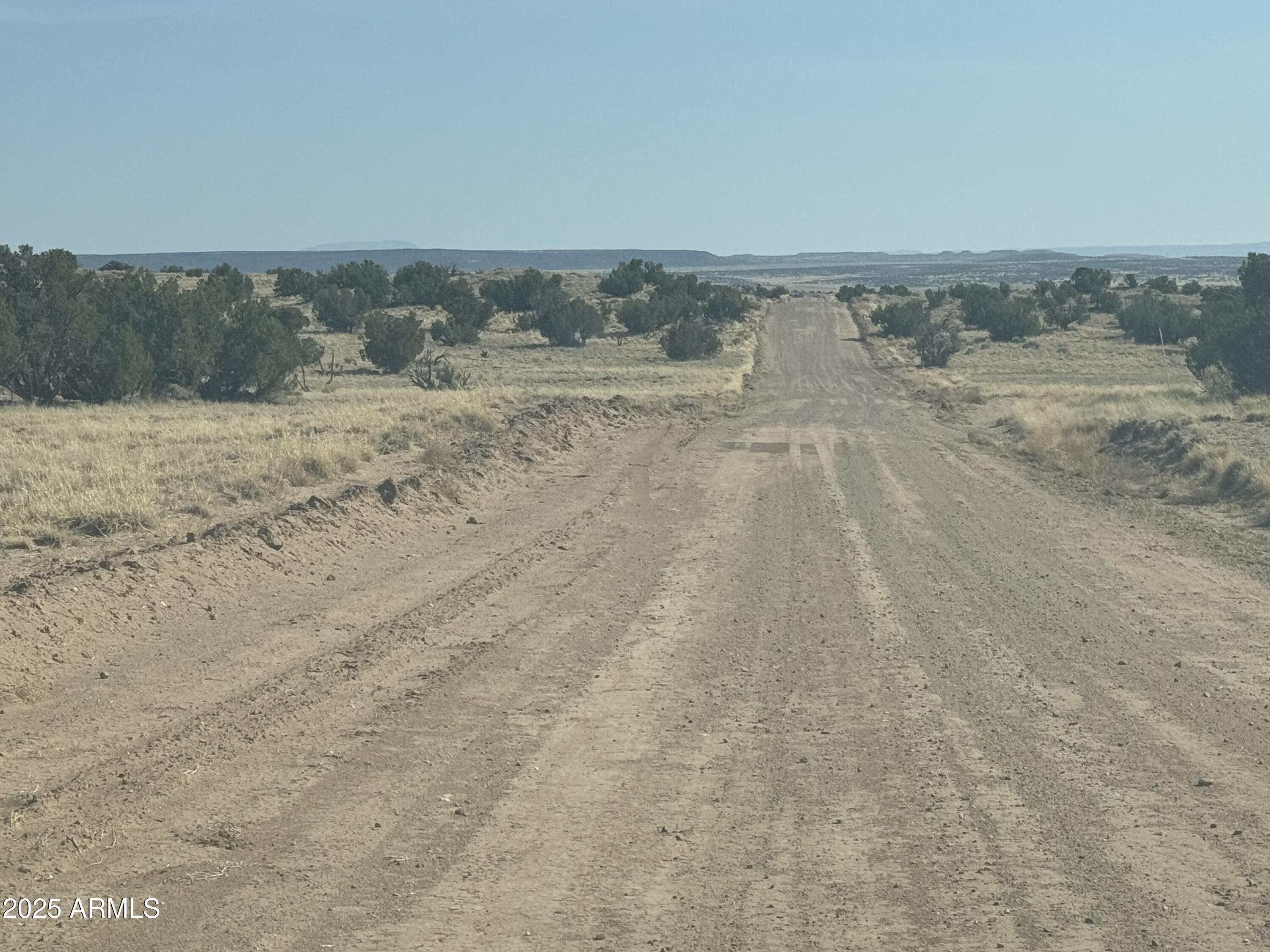 CARRIZO RANCHES - Land