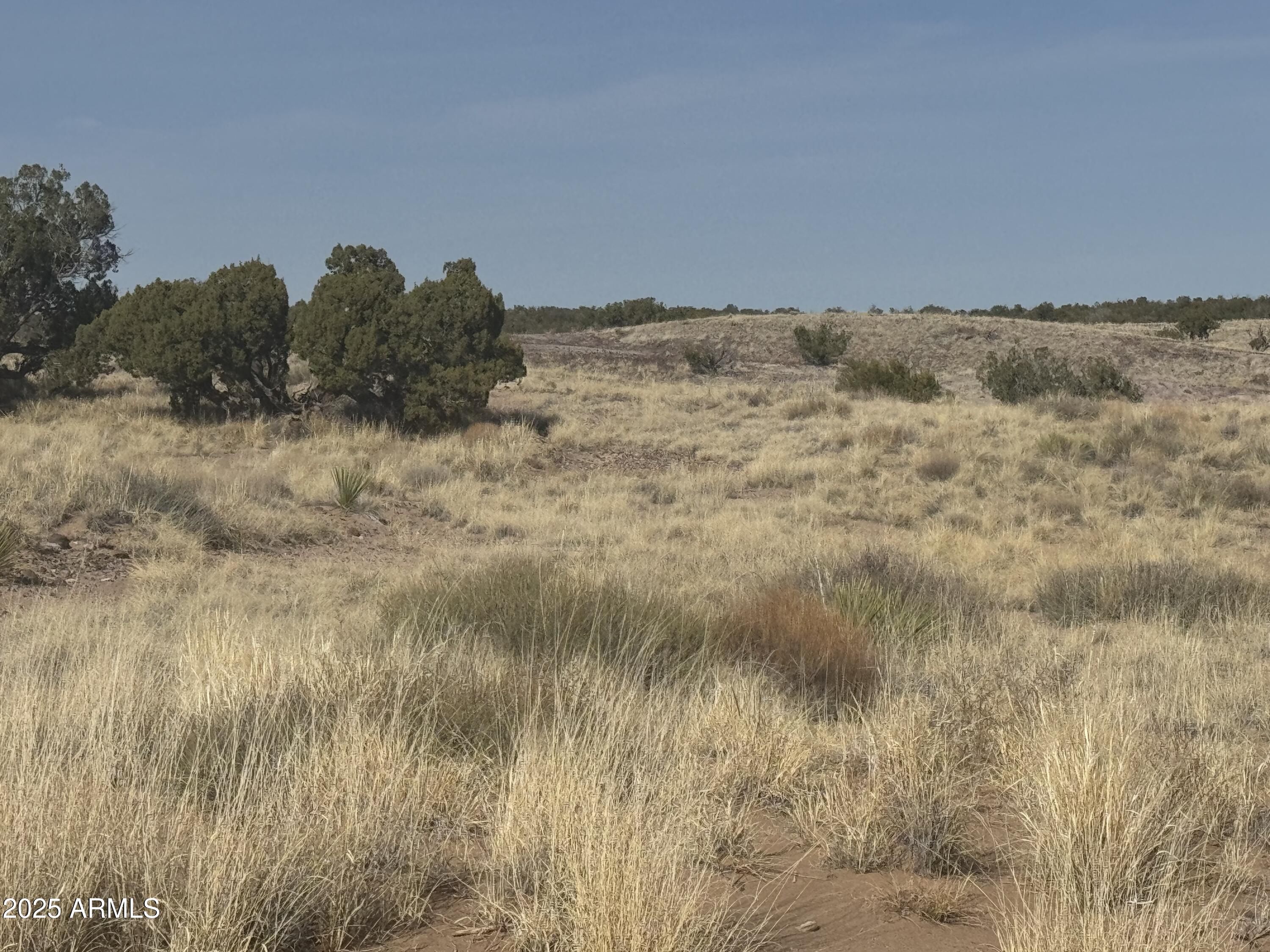 CARRIZO RANCHES - Land