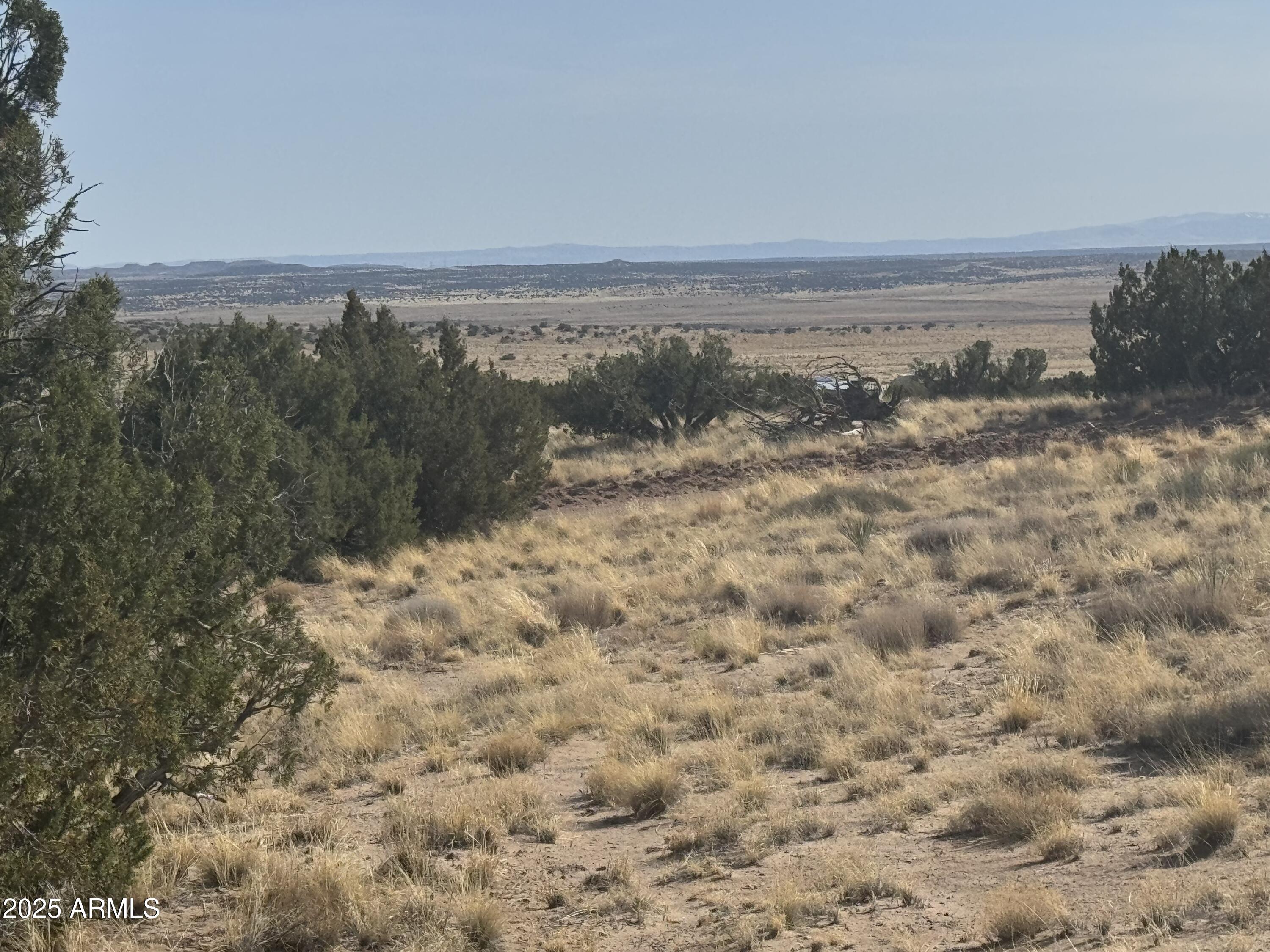 CARRIZO RANCHES - Land