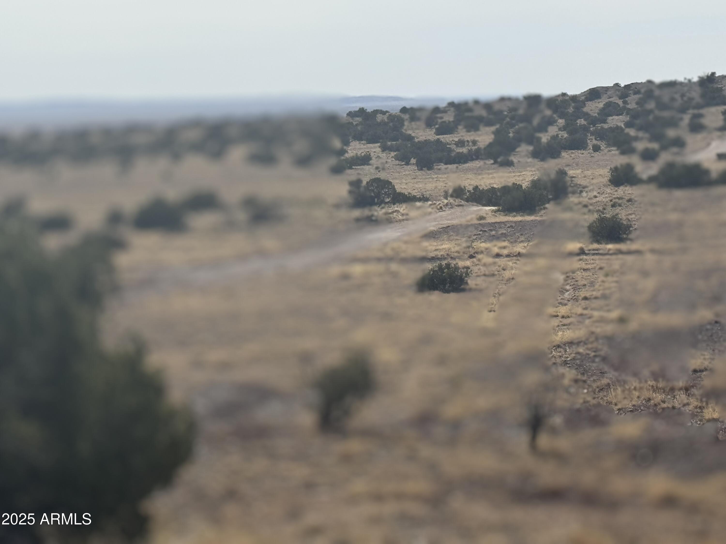 CARRIZO RANCHES - Land