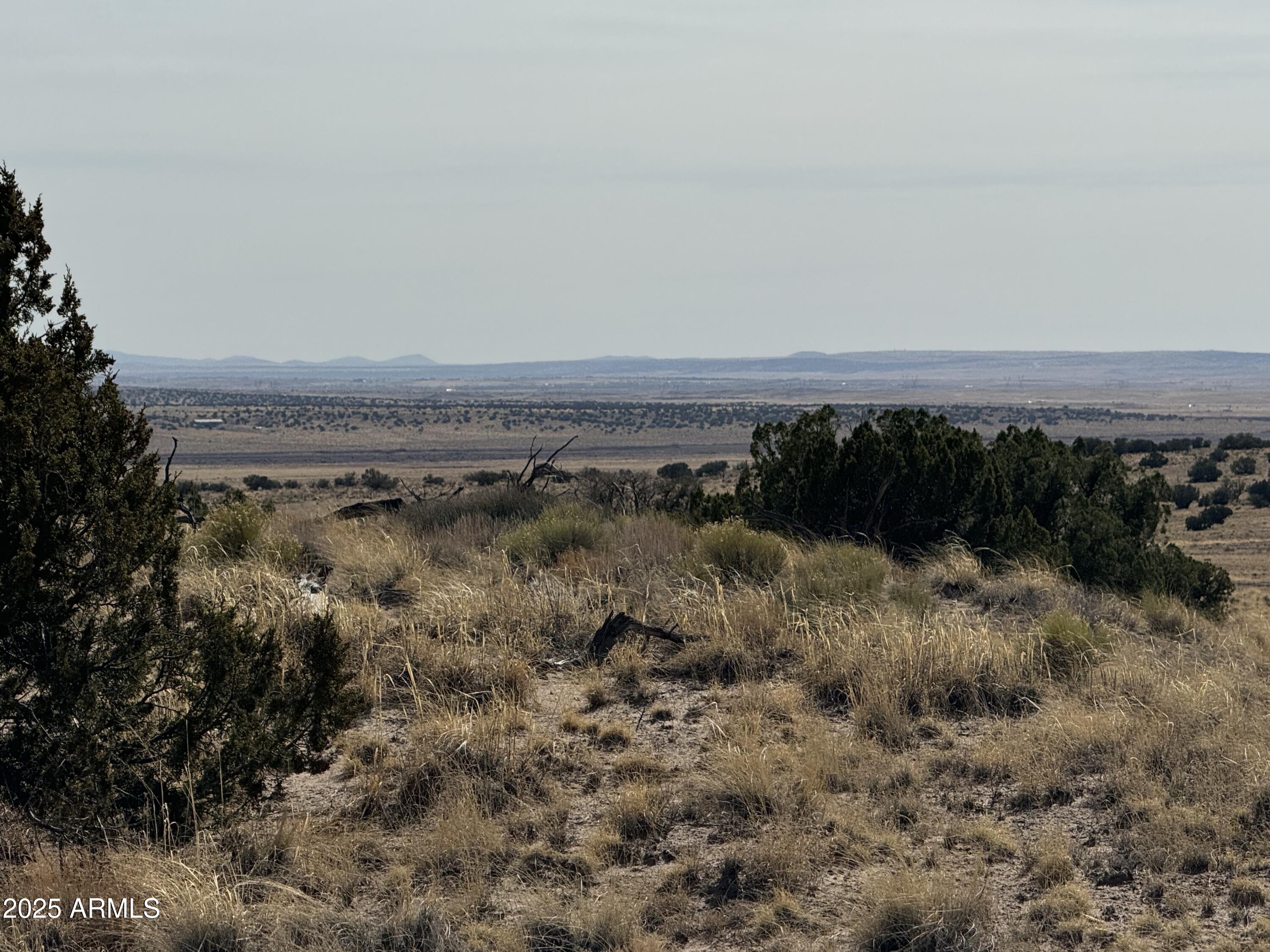 CARRIZO RANCHES - Land