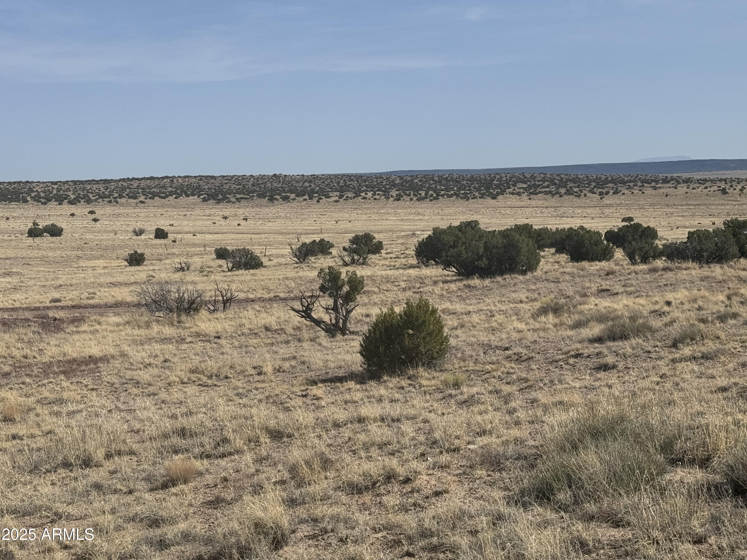 CARRIZO RANCHES - Land