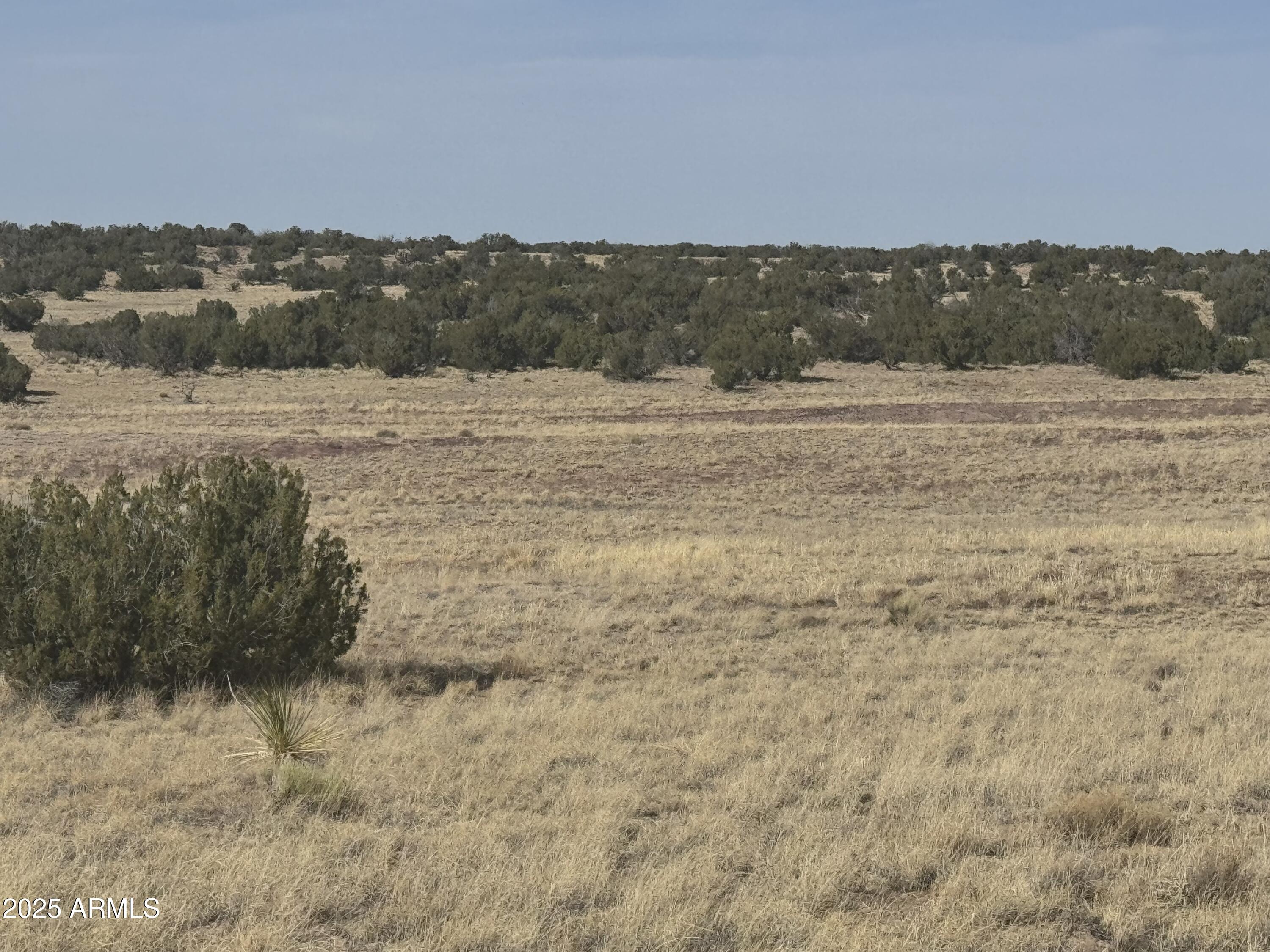 CARRIZO RANCHES - Land
