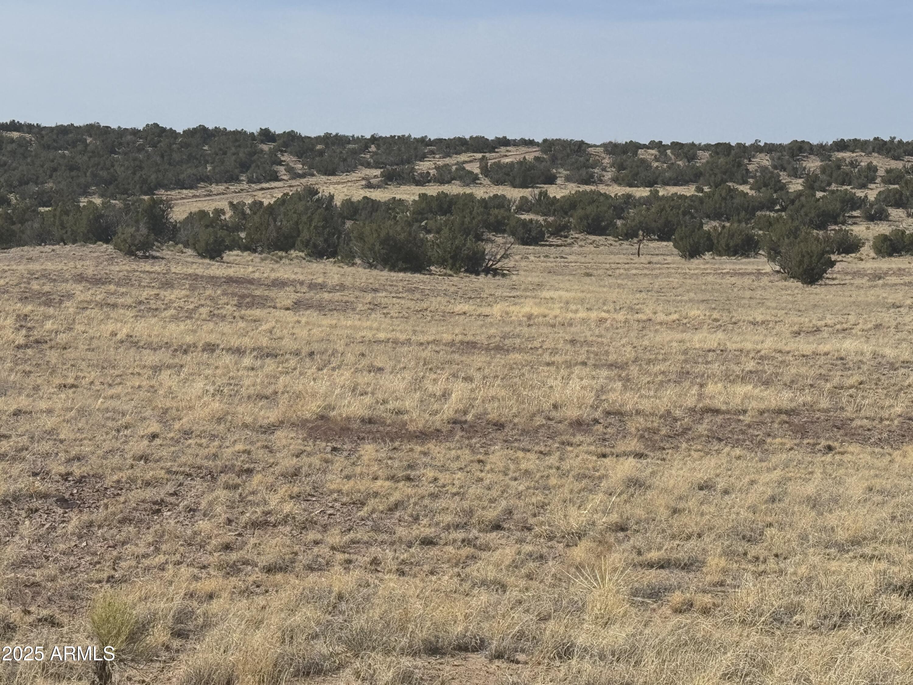 CARRIZO RANCHES - Land
