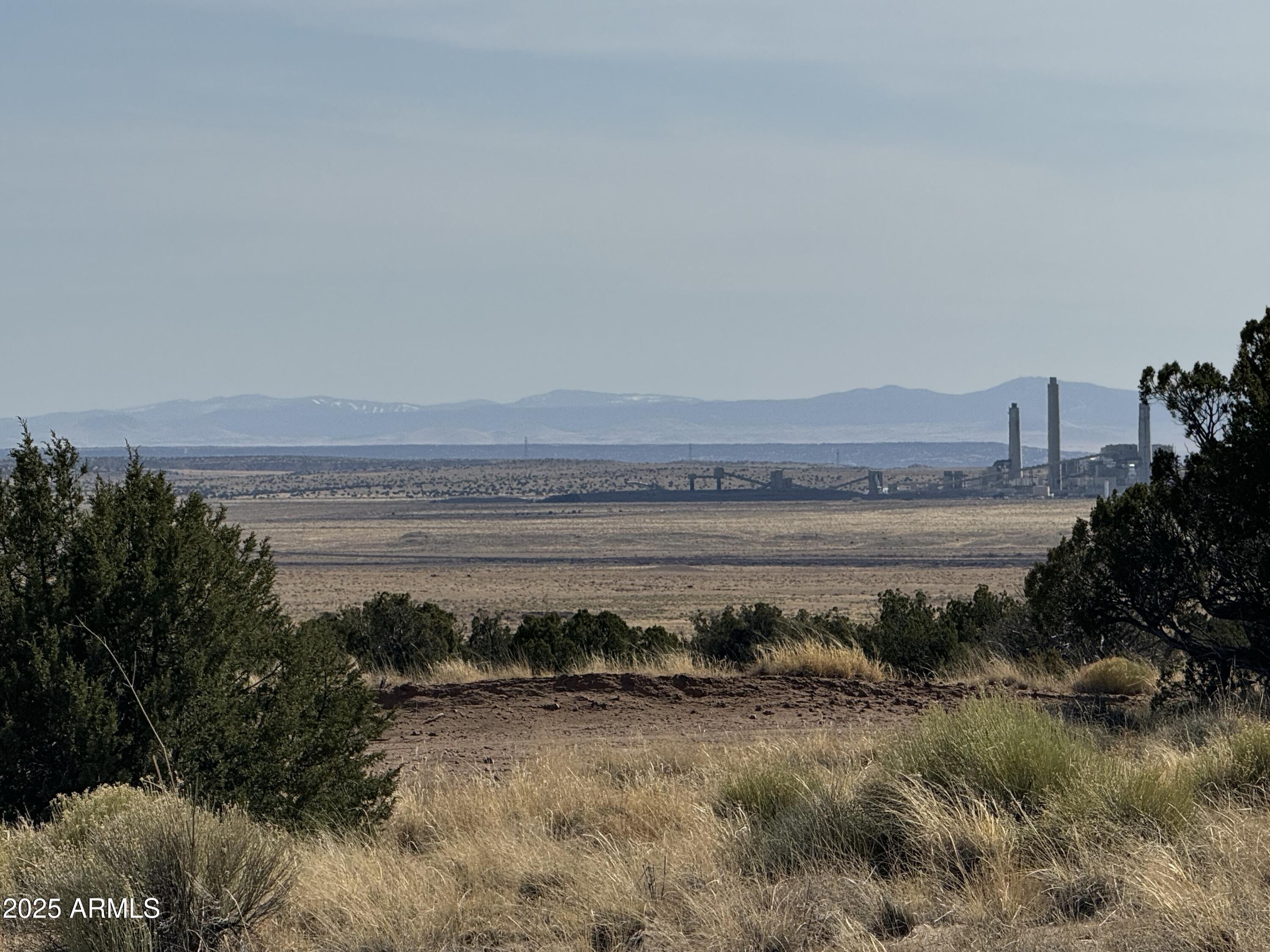 CARRIZO RANCHES - Land