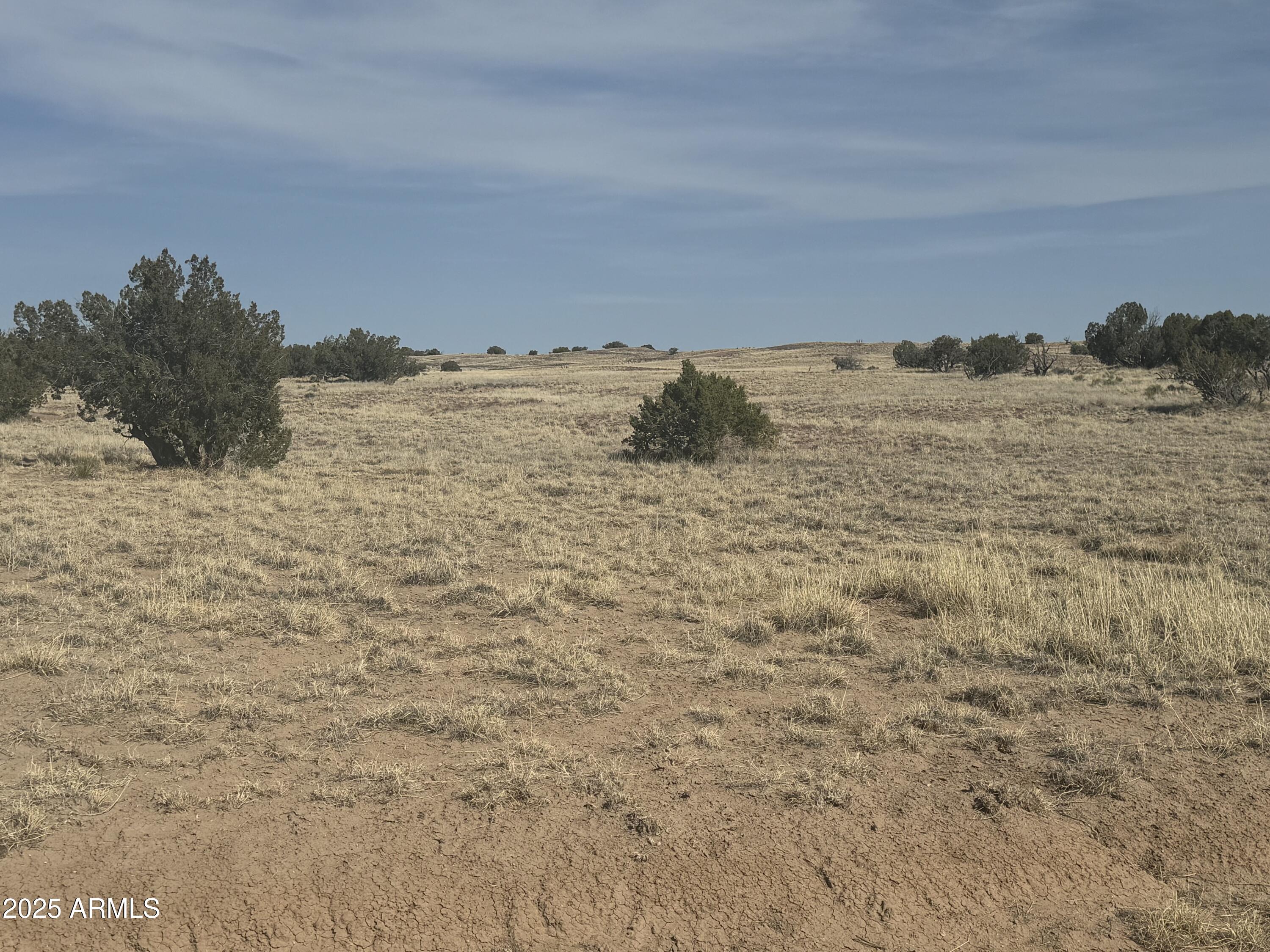 CARRIZO RANCHES - Land