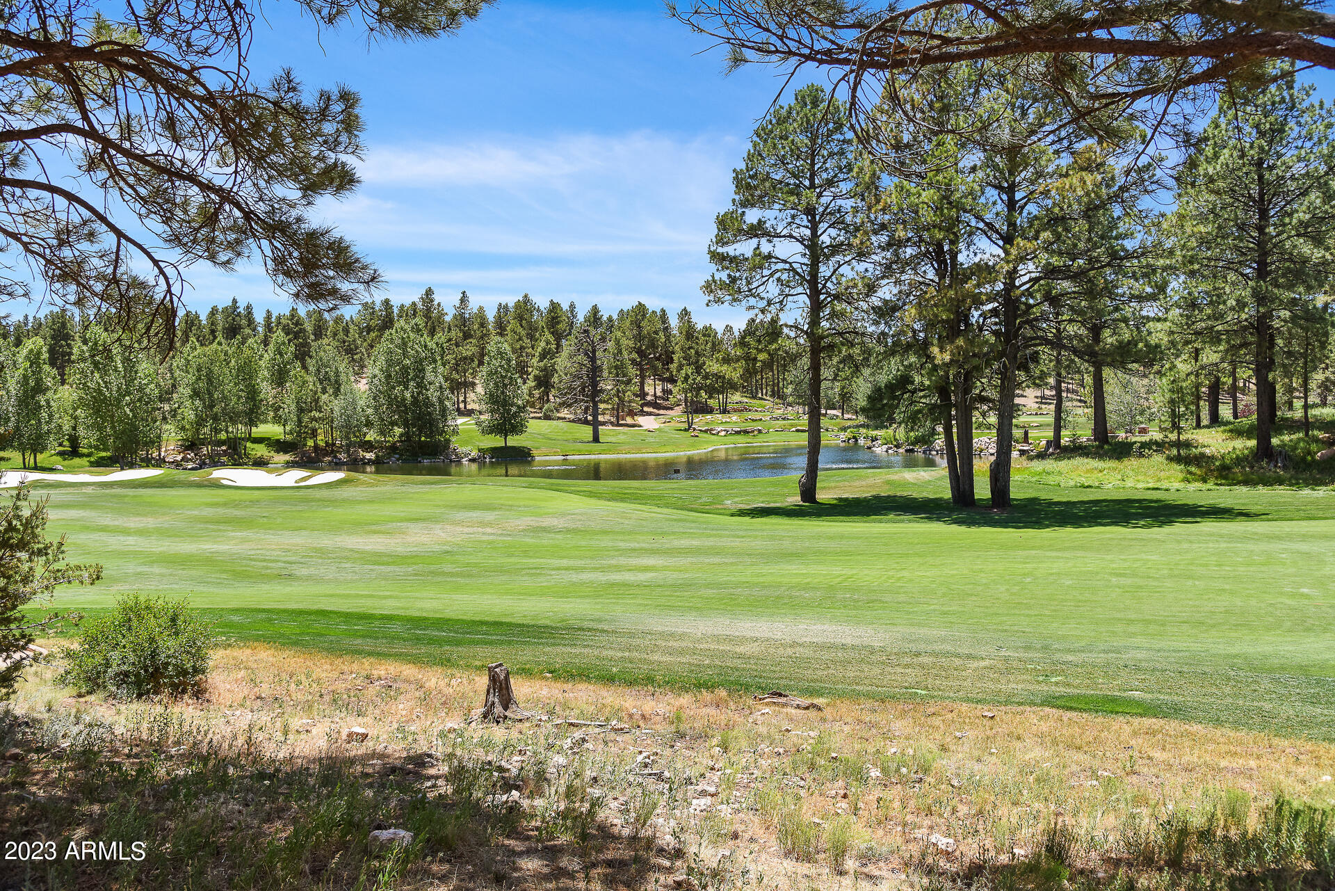 THE ESTATES AT PINE CANYON UNIT 1 LOT 42 - Residential