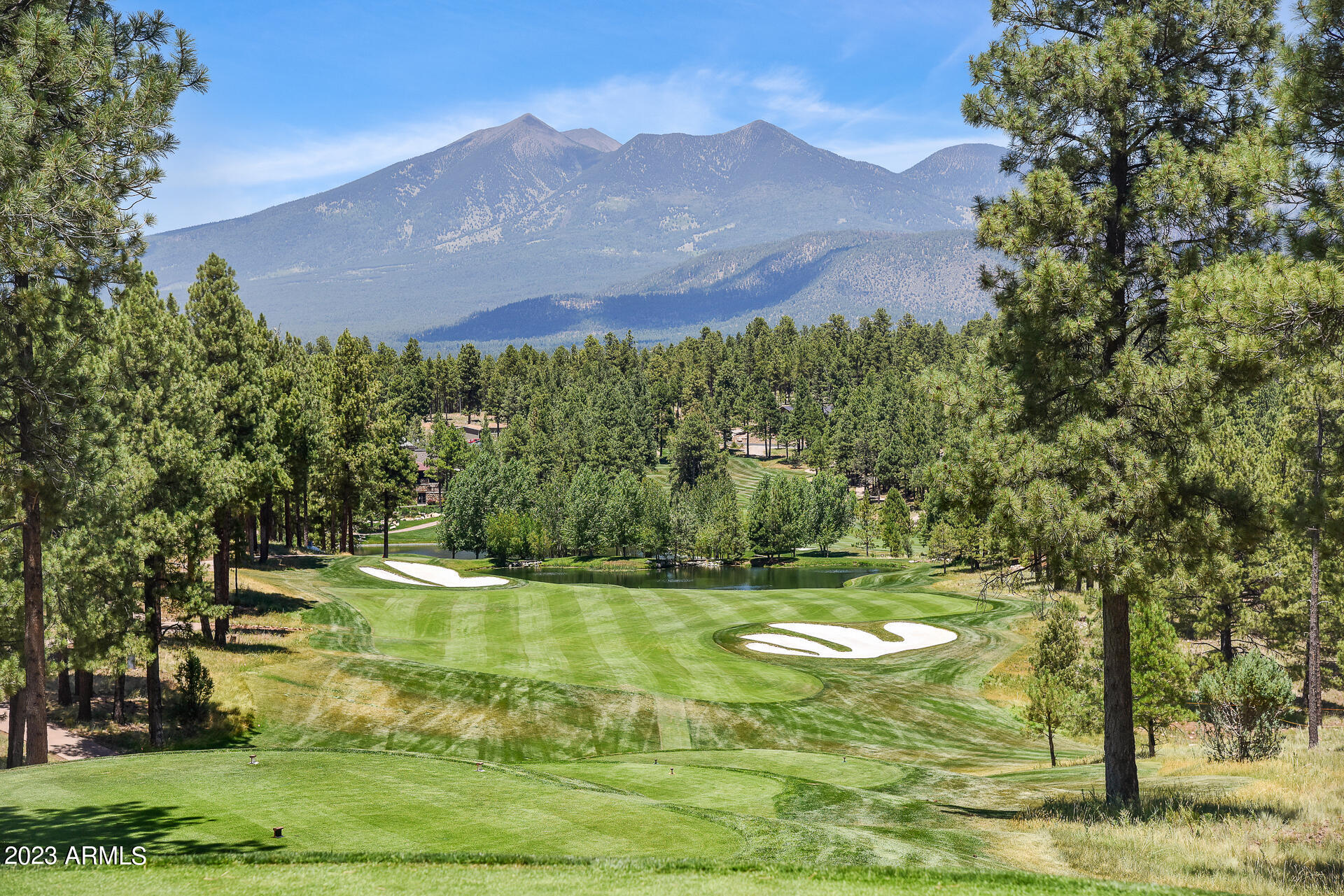 THE ESTATES AT PINE CANYON UNIT 1 LOT 42 - Residential