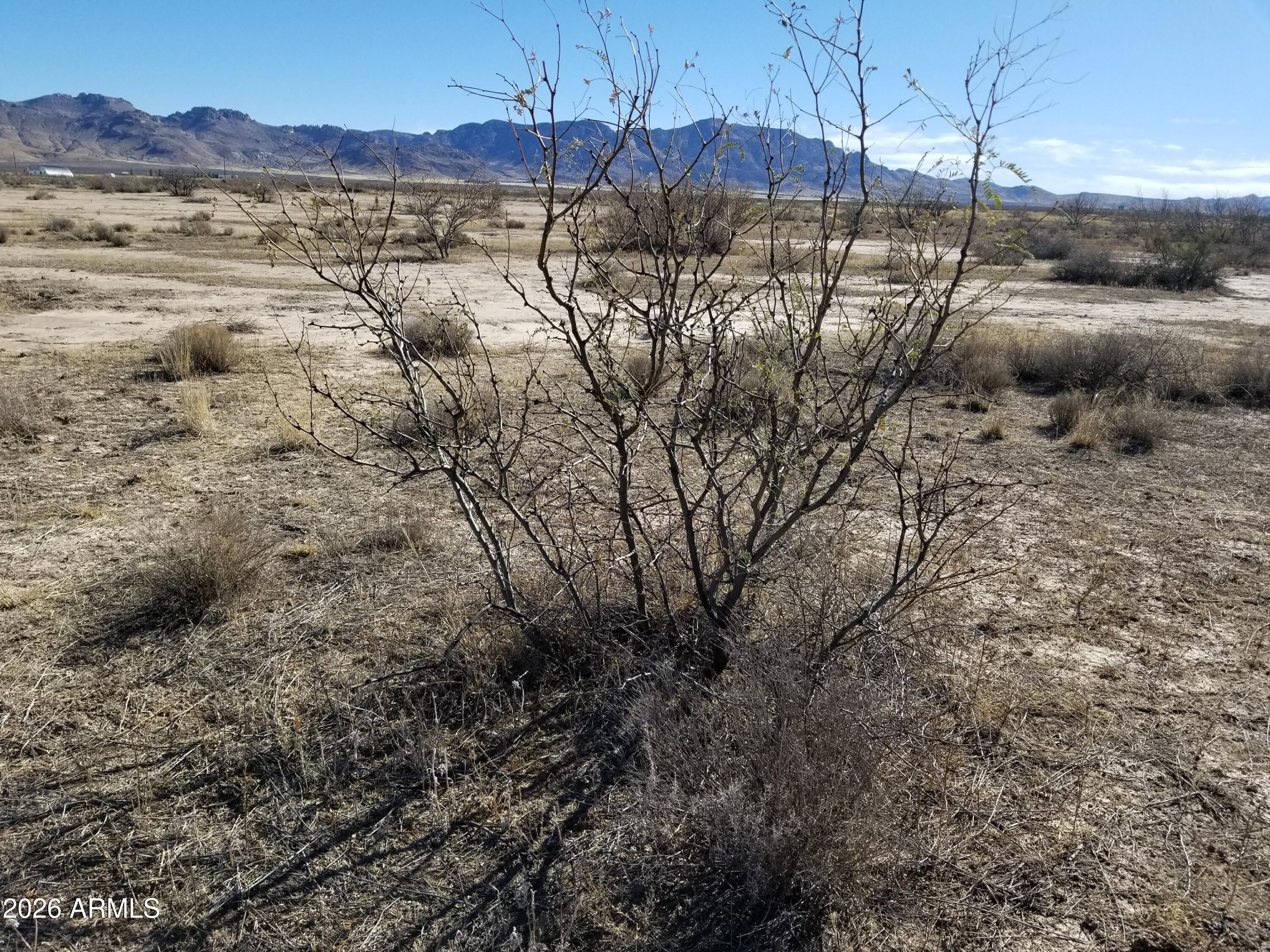 THREE TRIANGLE RANCHES UNIT 1 - Land