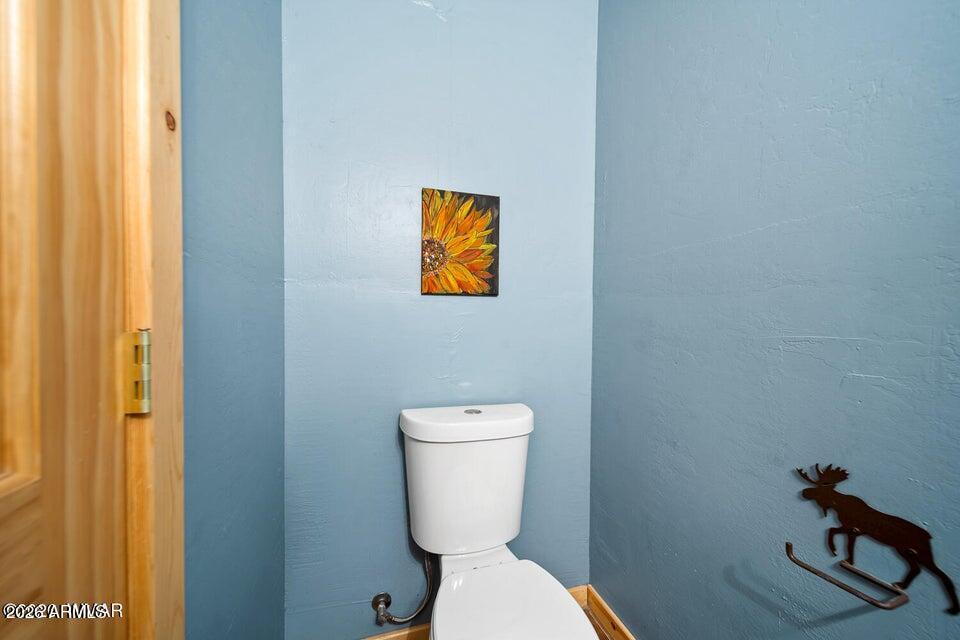 Show Low Unsubdivided - Residential