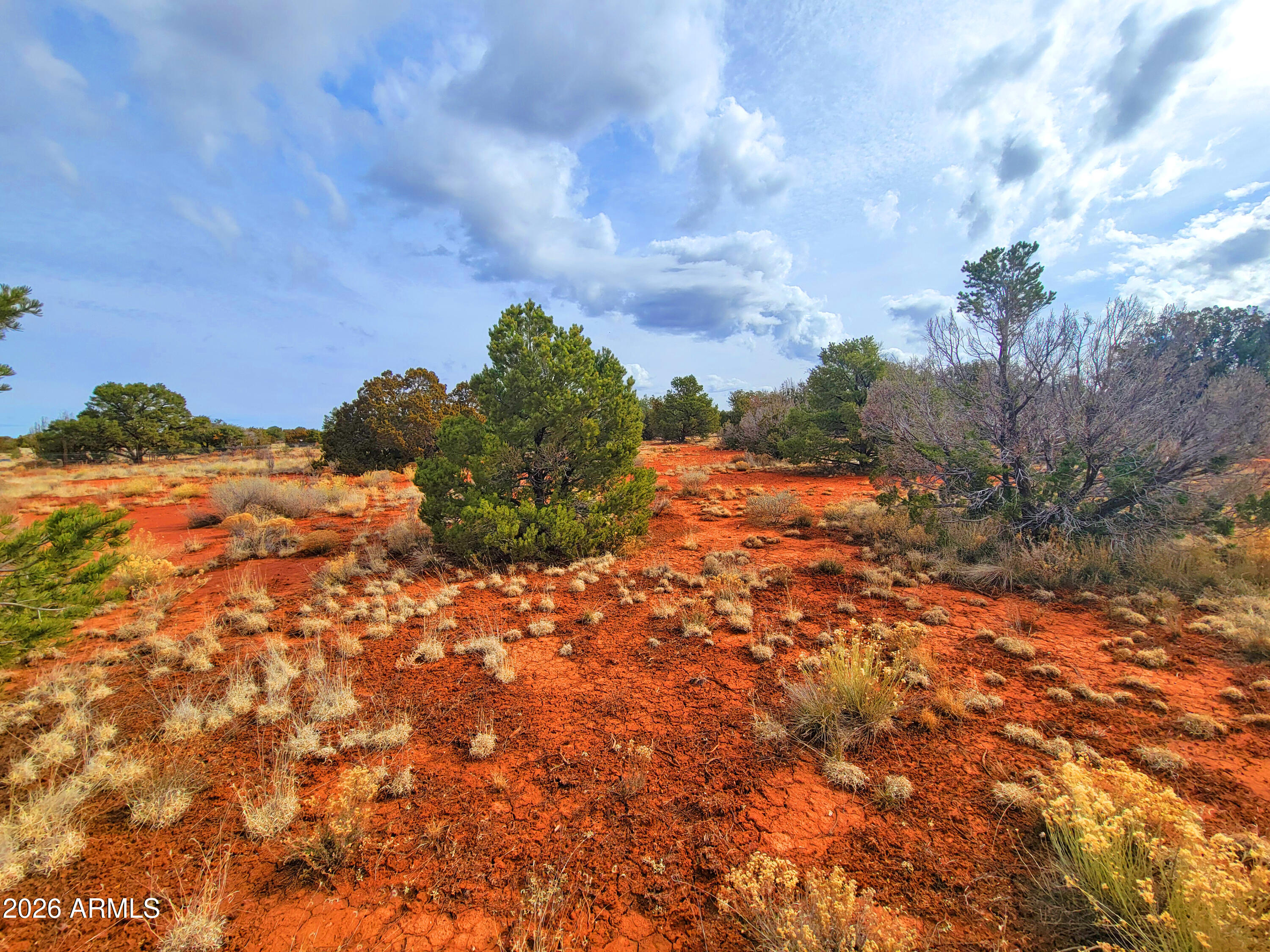 GRAND CANYON 19 - Land
