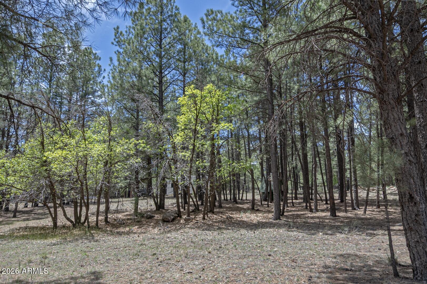 CLEAR CREEK PINES UNIT 03 Lot: 245 Sixteenth: SE Quarter: SE Section - Residential