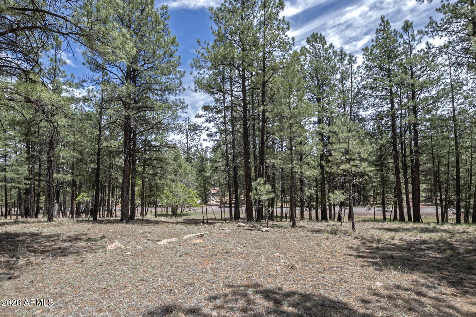 CLEAR CREEK PINES UNIT 03 Lot: 245 Sixteenth: SE Quarter: SE Section - Residential