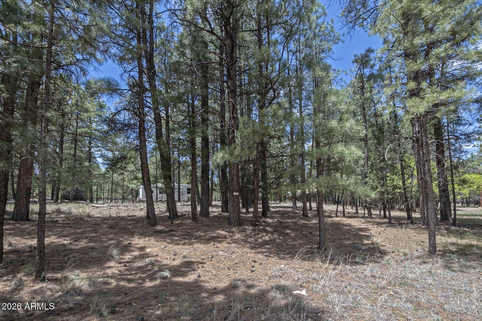 CLEAR CREEK PINES UNIT 03 Lot: 245 Sixteenth: SE Quarter: SE Section - Residential