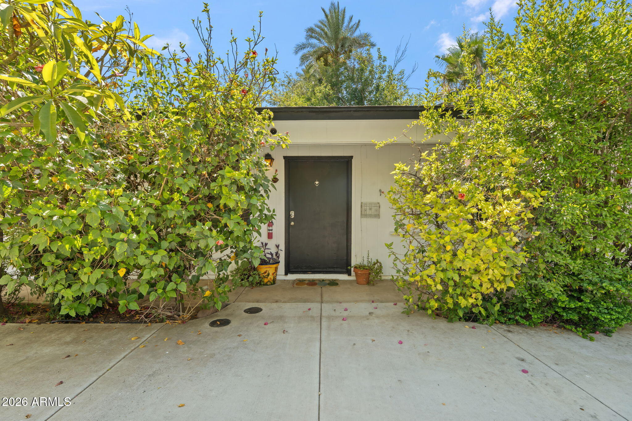 SOUTH MEDLOCK PLACE - Residential Income