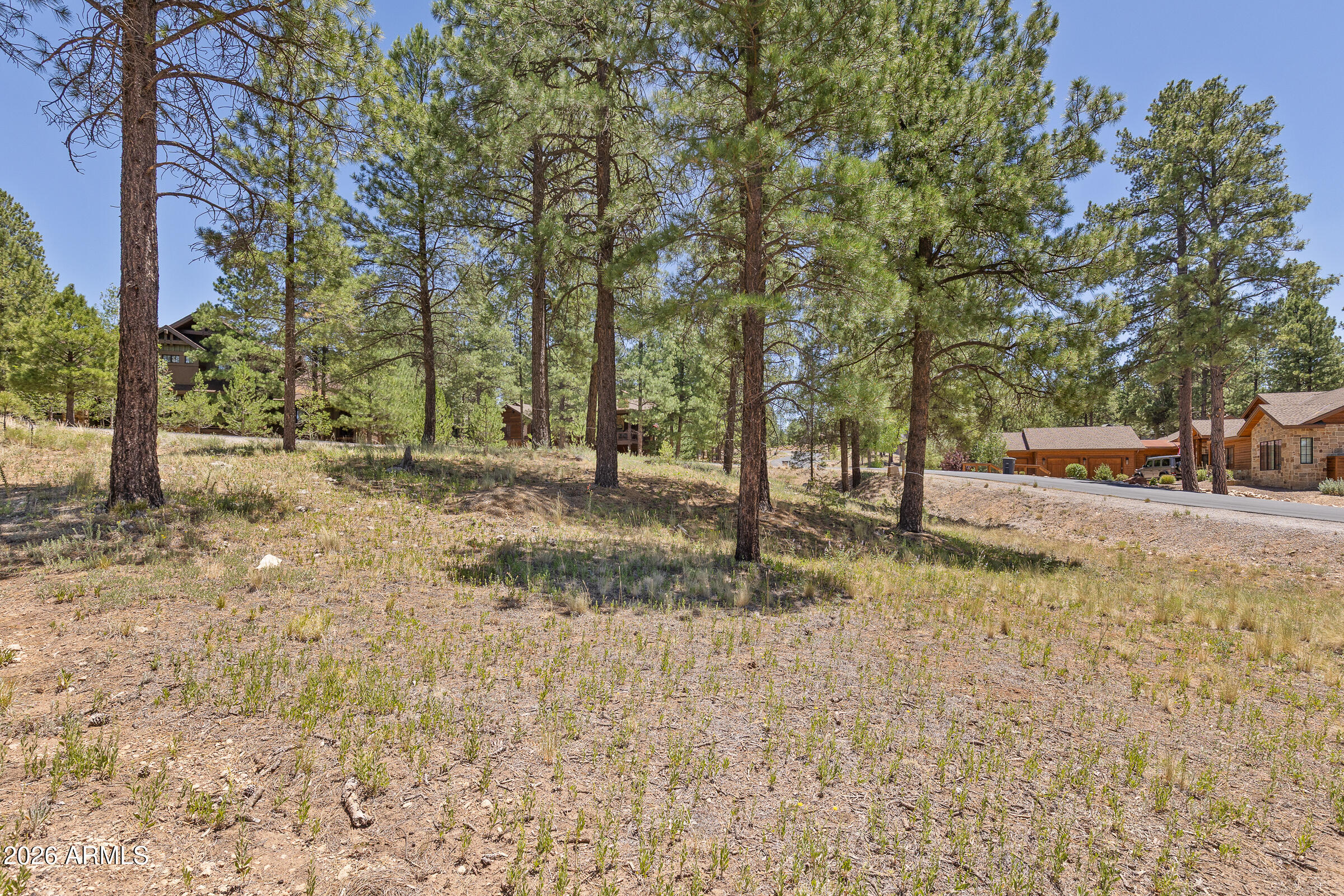 ESTATES AT PINE CANYON 1 RESUB - Land