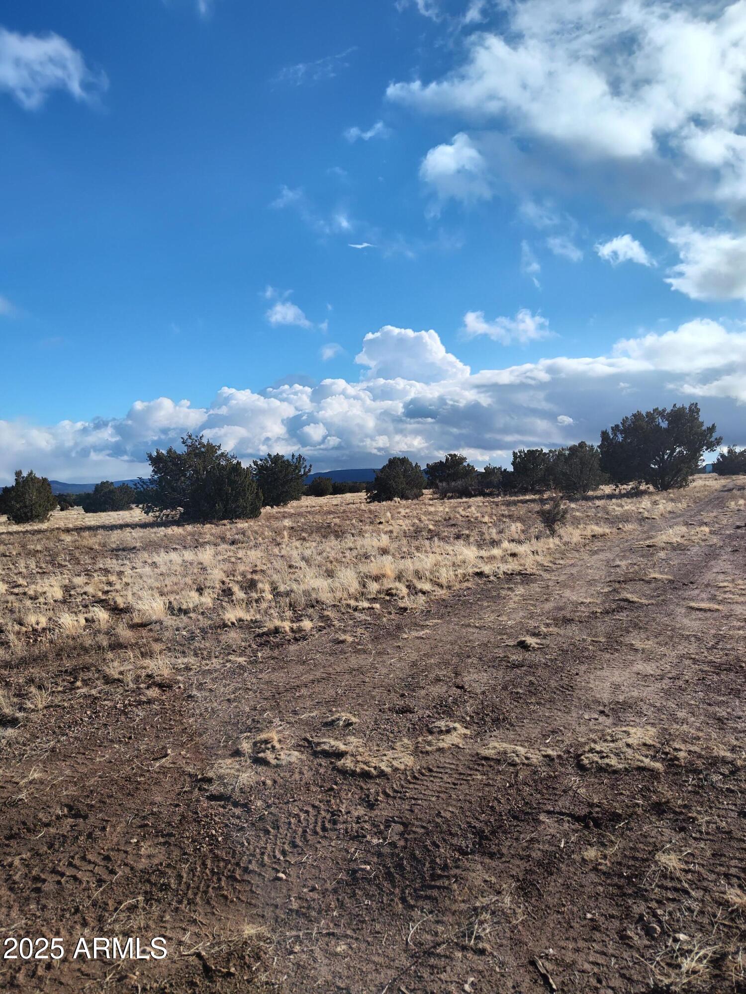 BRIDGE CANYON RANCHOS UNIT 4 - Land