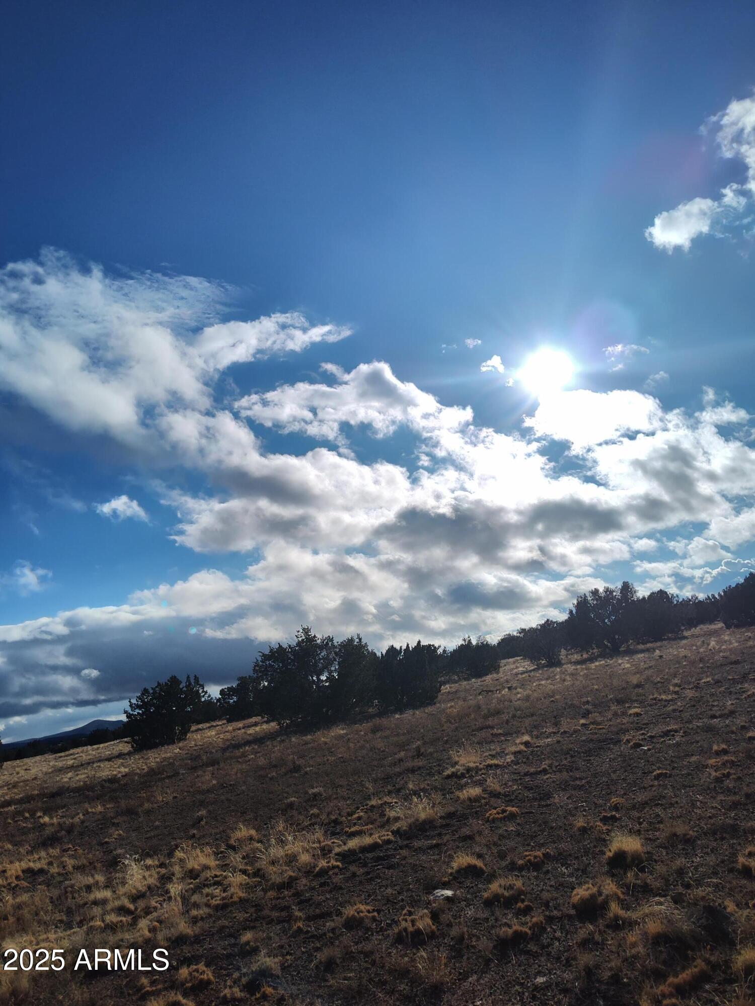 BRIDGE CANYON RANCHOS UNIT 4 - Land